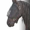 Harry's Horse Fly Mask Headcollar