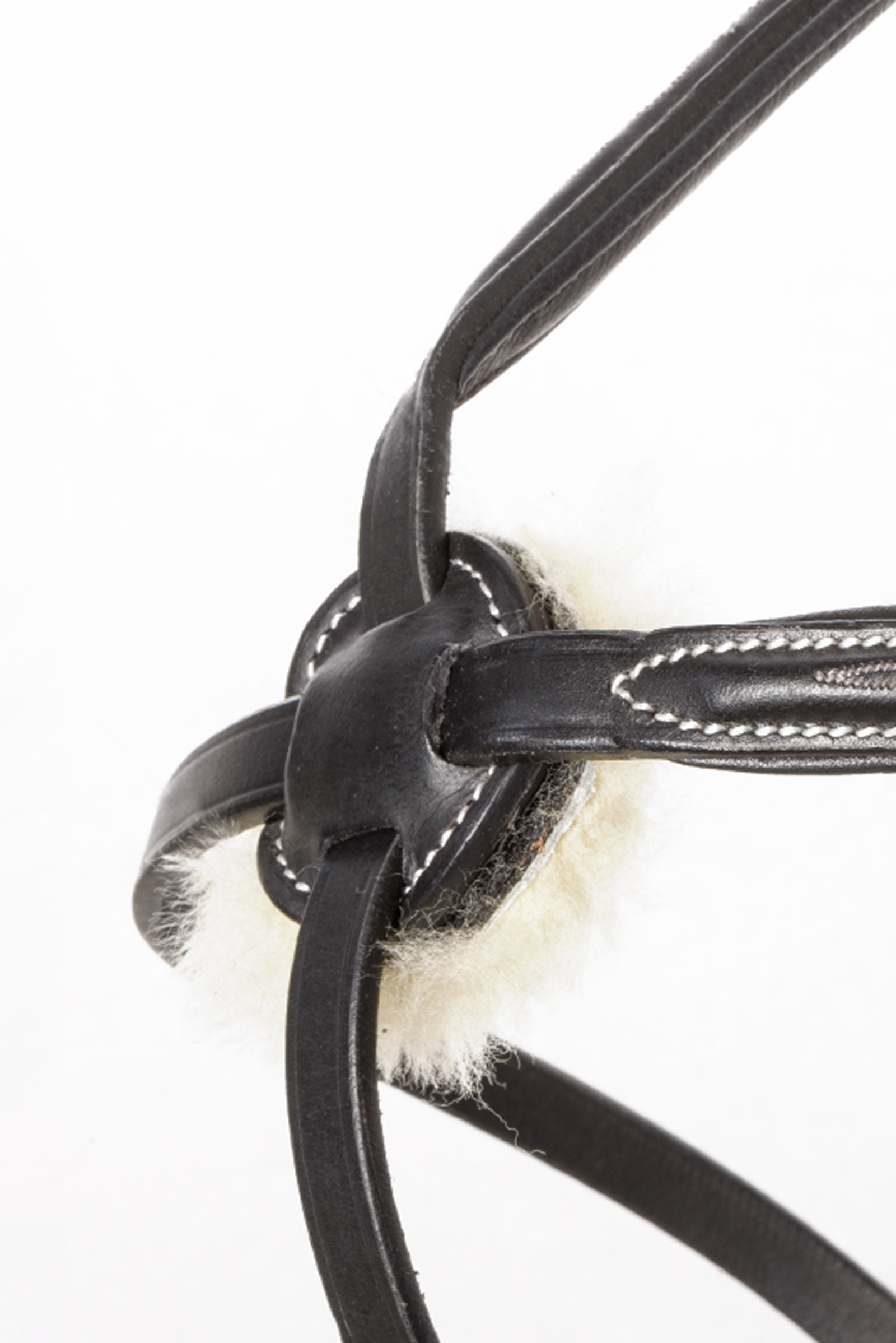 Kavalkade Diandro Grackle Bridle