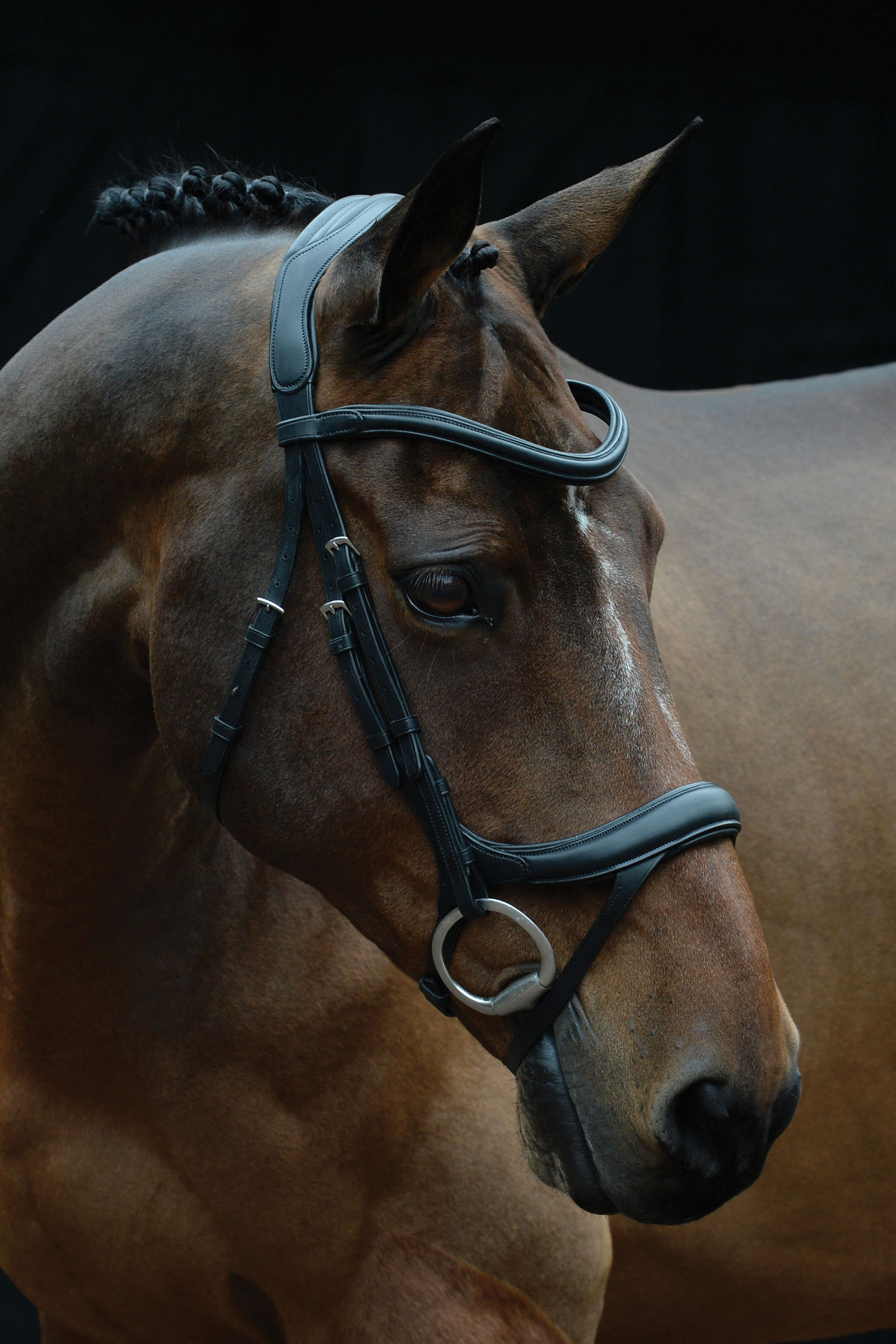 Black Collegiate Comfitec Vogue Anatomical Bridle
