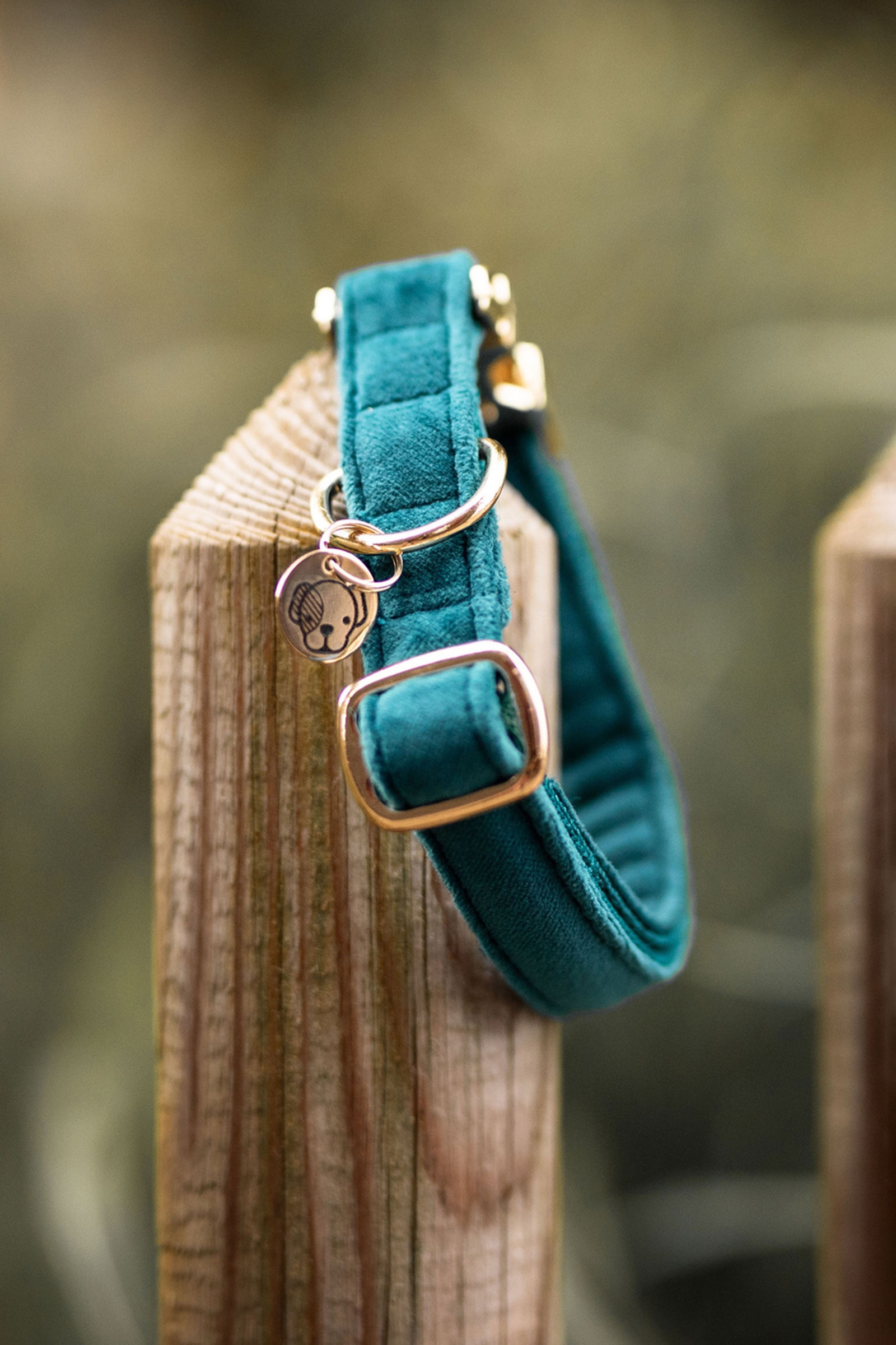 Kentucky Dogwear Dog Collar Velvet