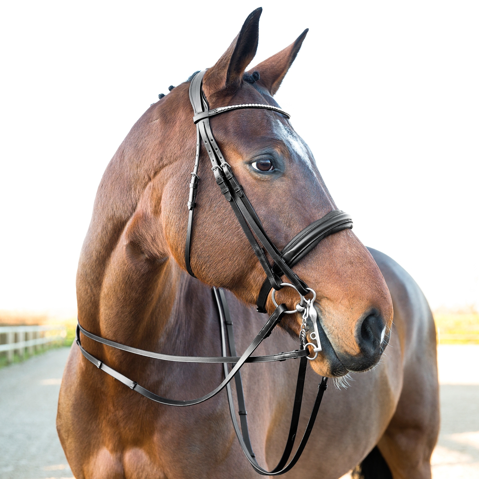 Horze Vienna Anatomic Weymouth Bridle
