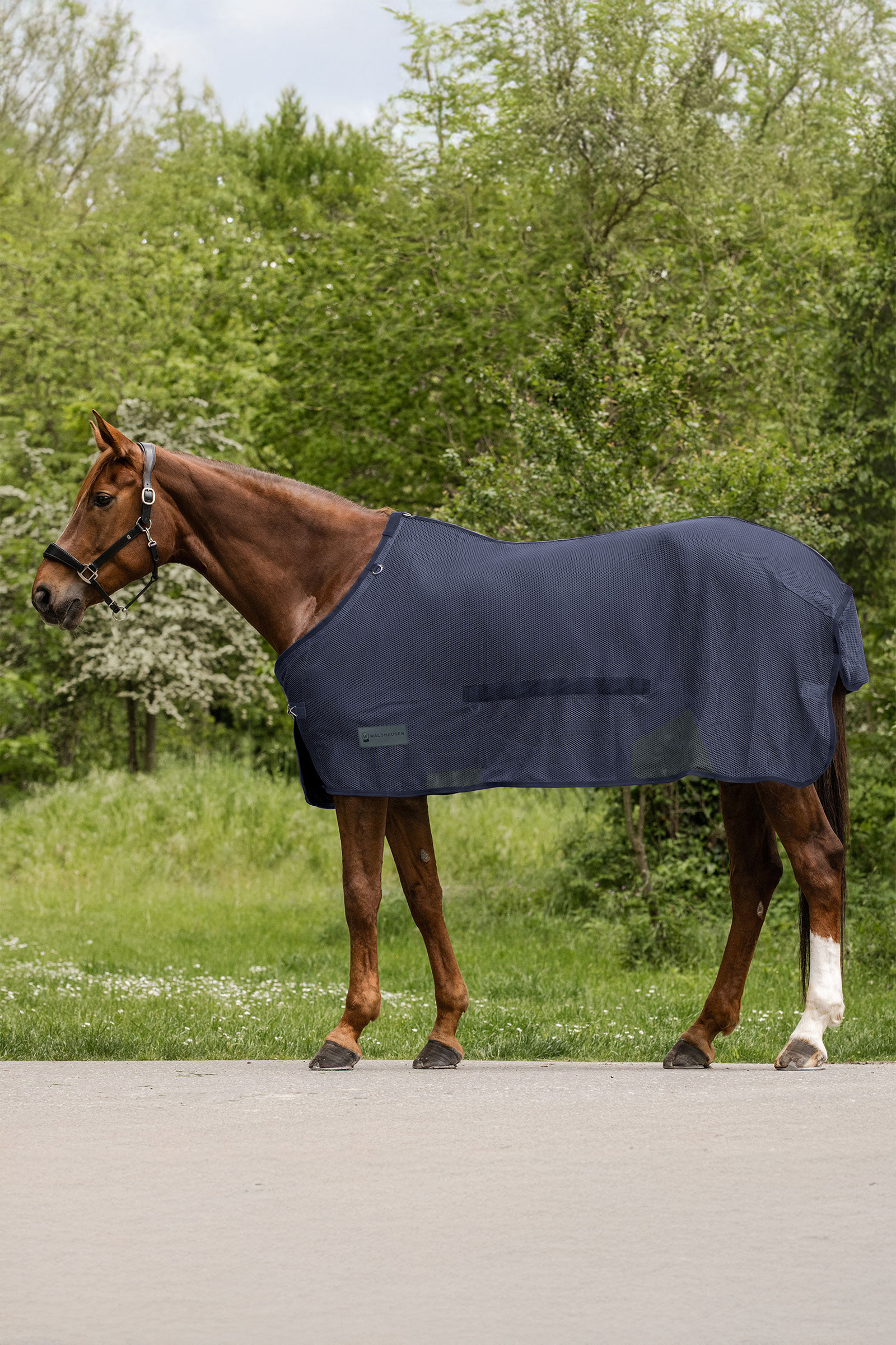 Waldhausen Comfort Fly Rug With Belly Flap