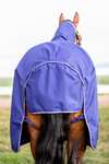 Horseware Amigo Hero 900 Plus Medium Turnout Rug, 200g