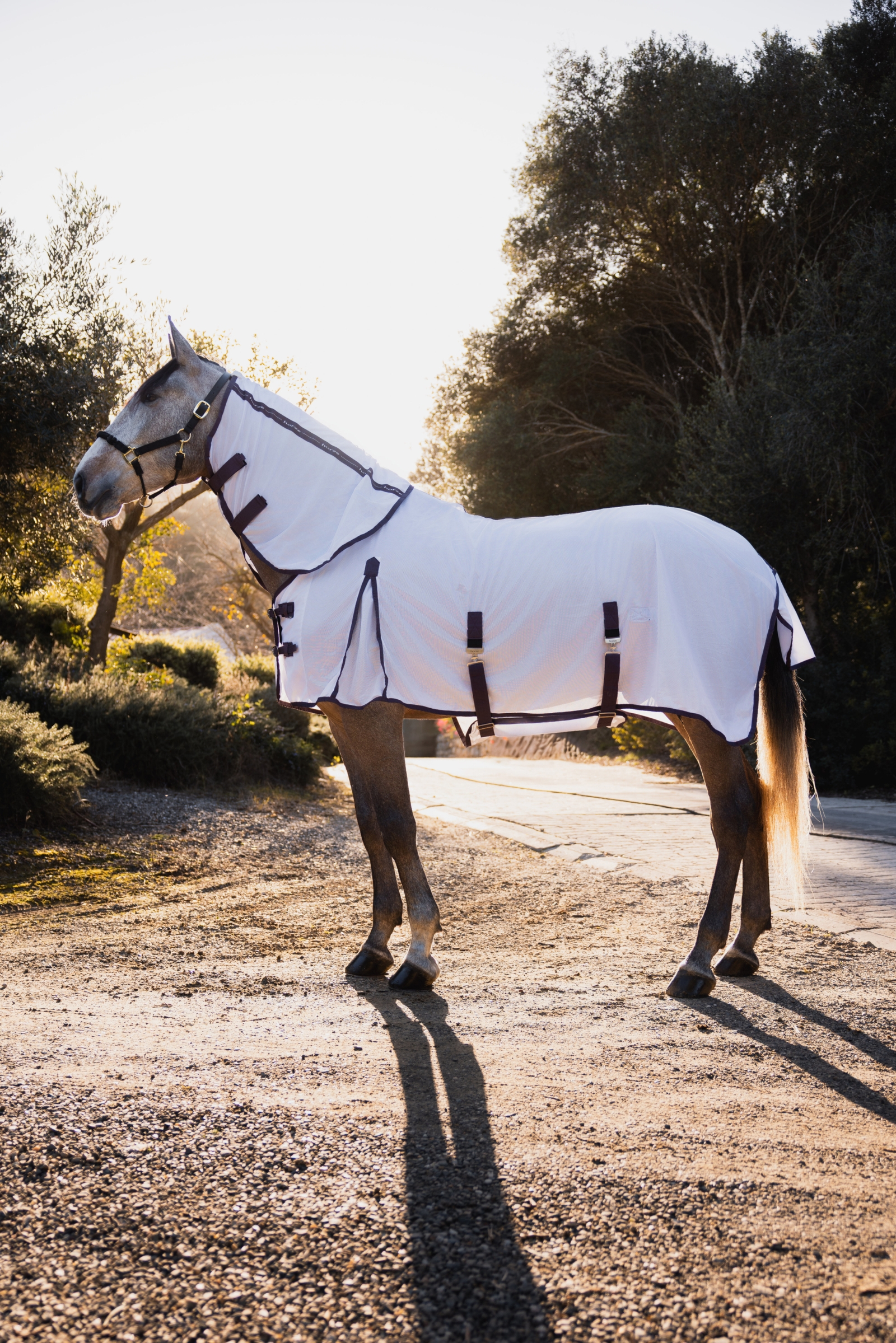 Horze La Paz Fly Set with Rug, Detachable Neck and Mask