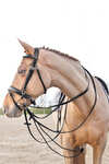 Horze Sparta Nylon/Leather Draw Reins