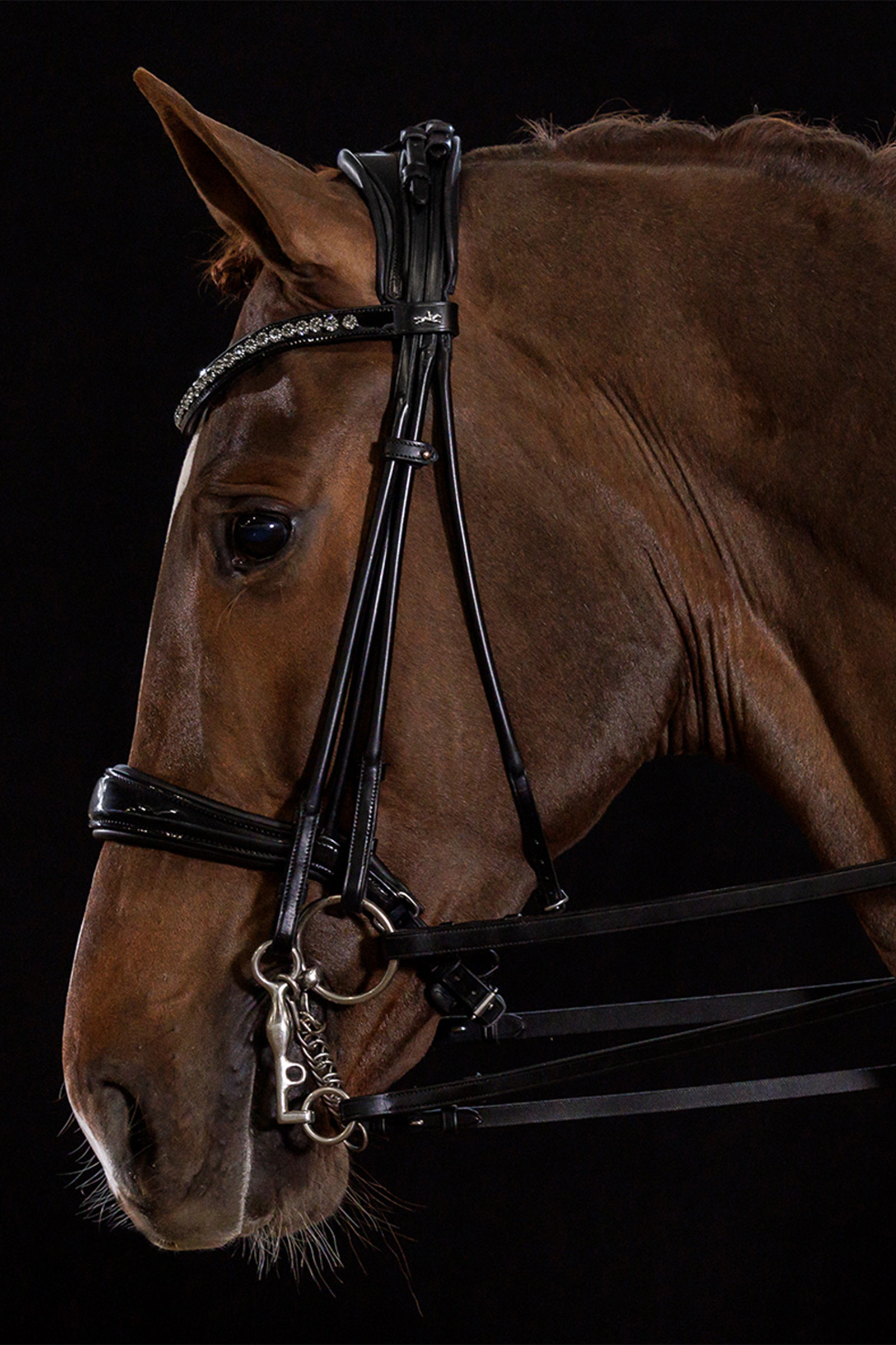 Schockem&ouml;hle Sports Kensington Double Bridle rolled