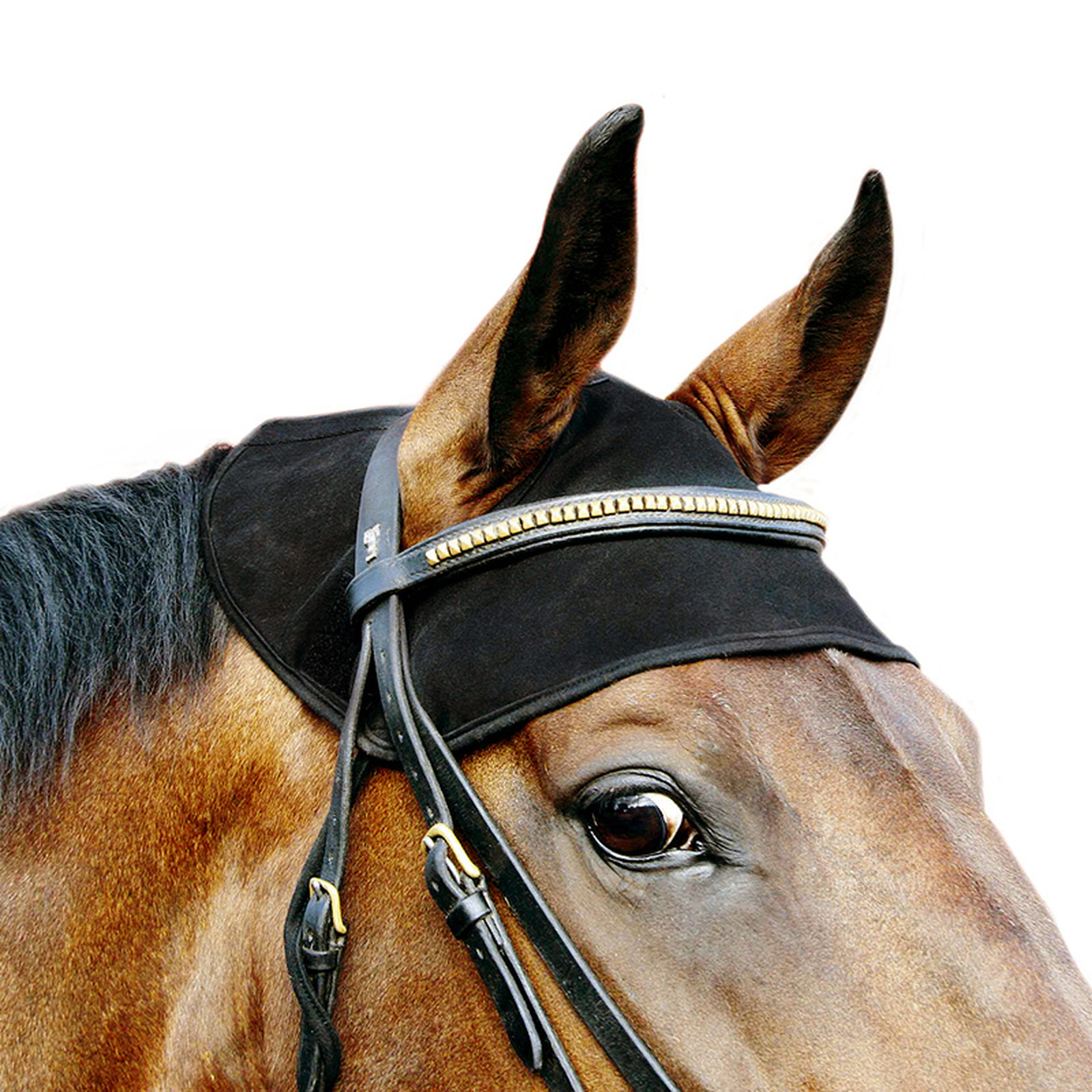 Back on Track Horse Neck Cap