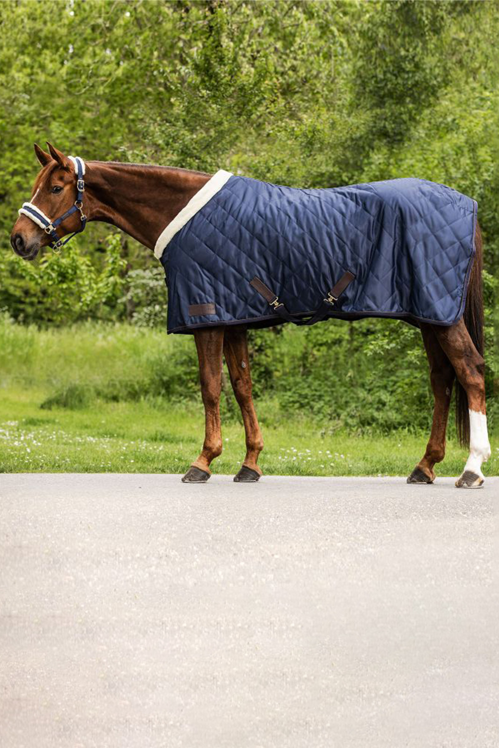 Waldhausen Exclusive Travel Rug, 50g