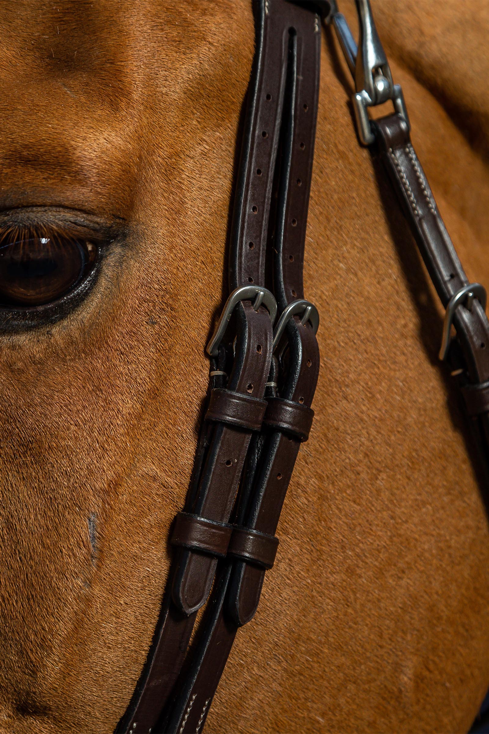 Dy'on Working Flat Leather Bridle With Snap Hooks 