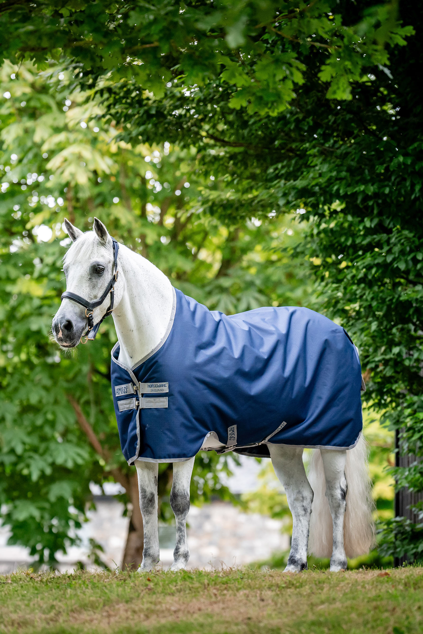 Horseware Amigo Ripstop Turnout Rug 900D, 50g