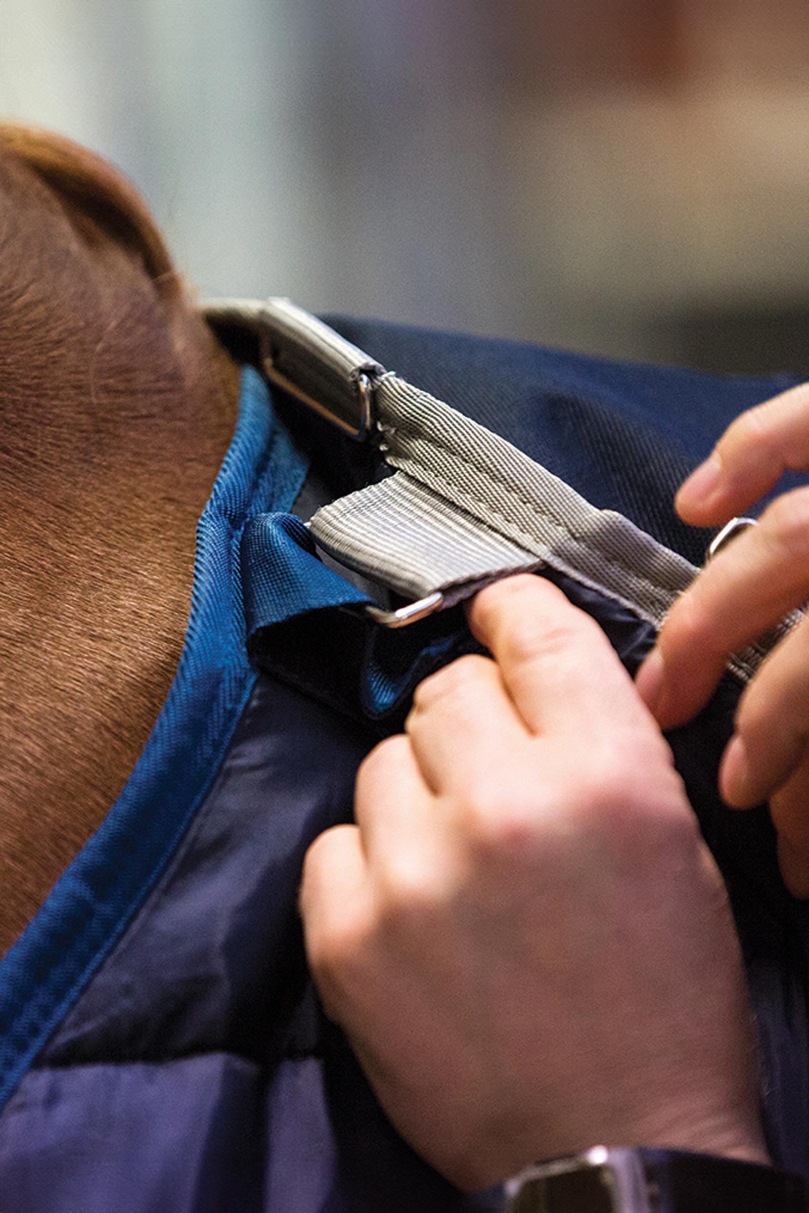 Horseware Liner, 200 g