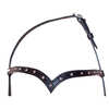 Karlslund Stjarni headstall w. browband