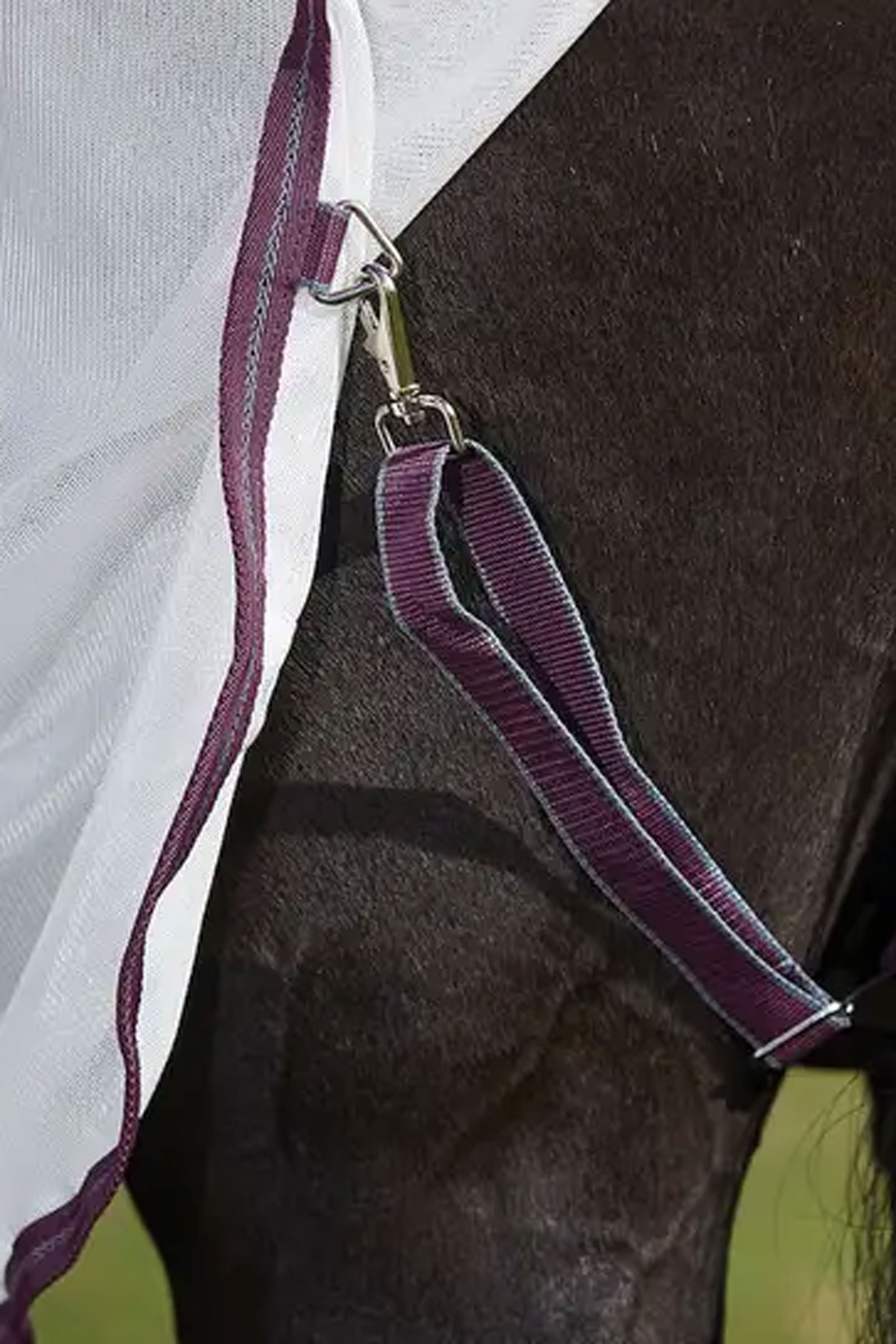 Weatherbeeta Comfitec Essential Mesh II Fly Rug with Fixed Neck