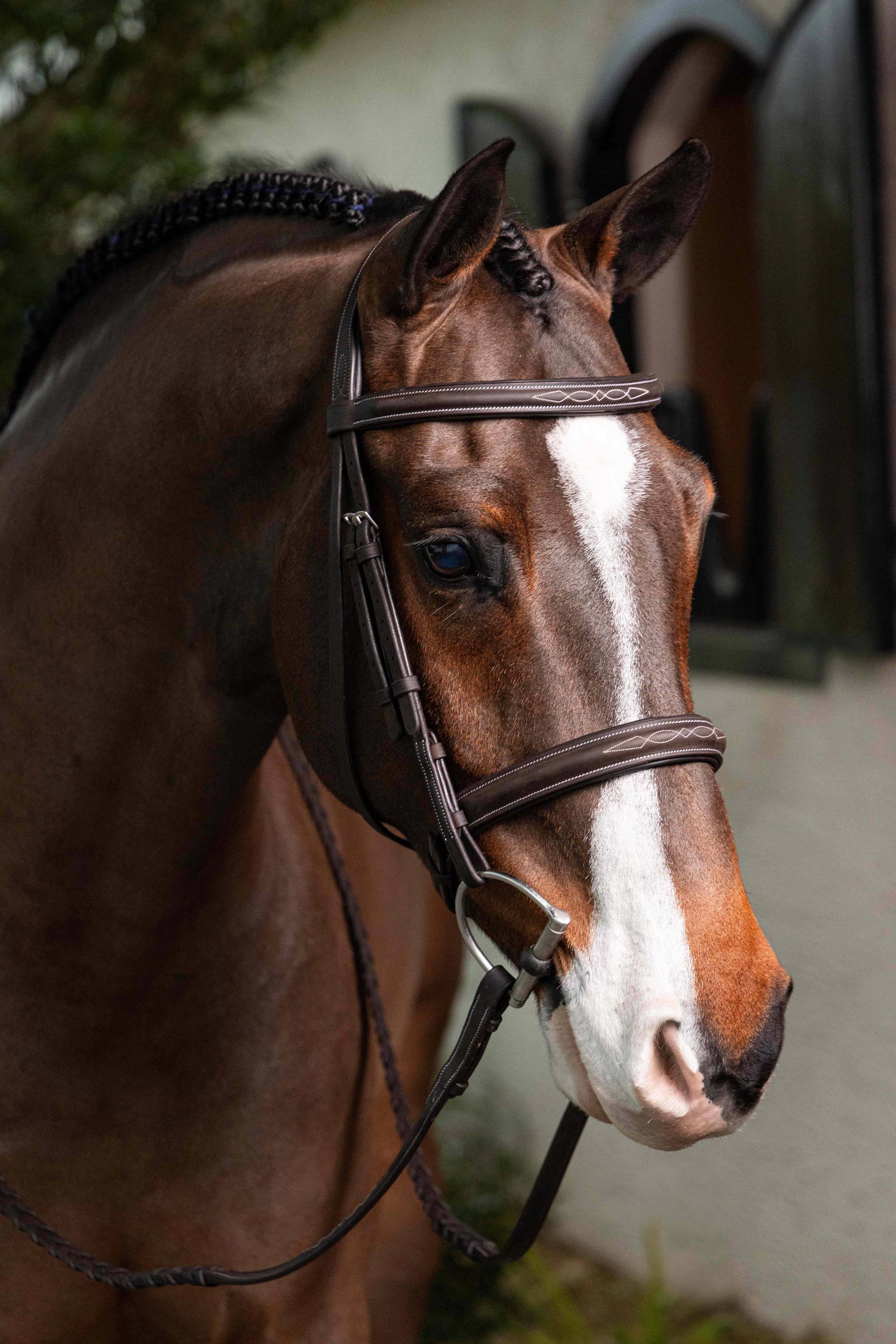 LeMieux Hunter Stitched Bridle