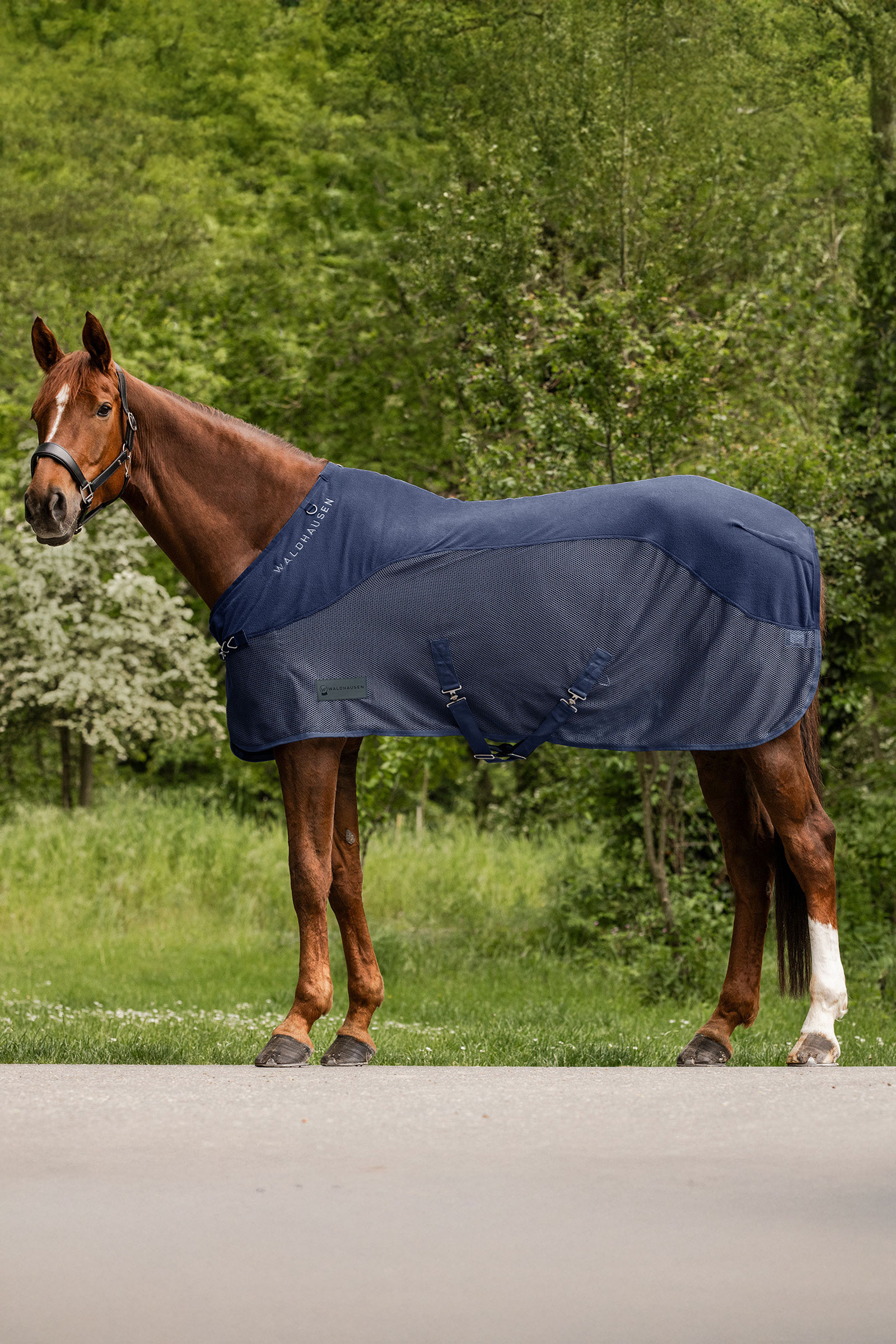 Waldhausen Comfort Fleece Fly Rug
