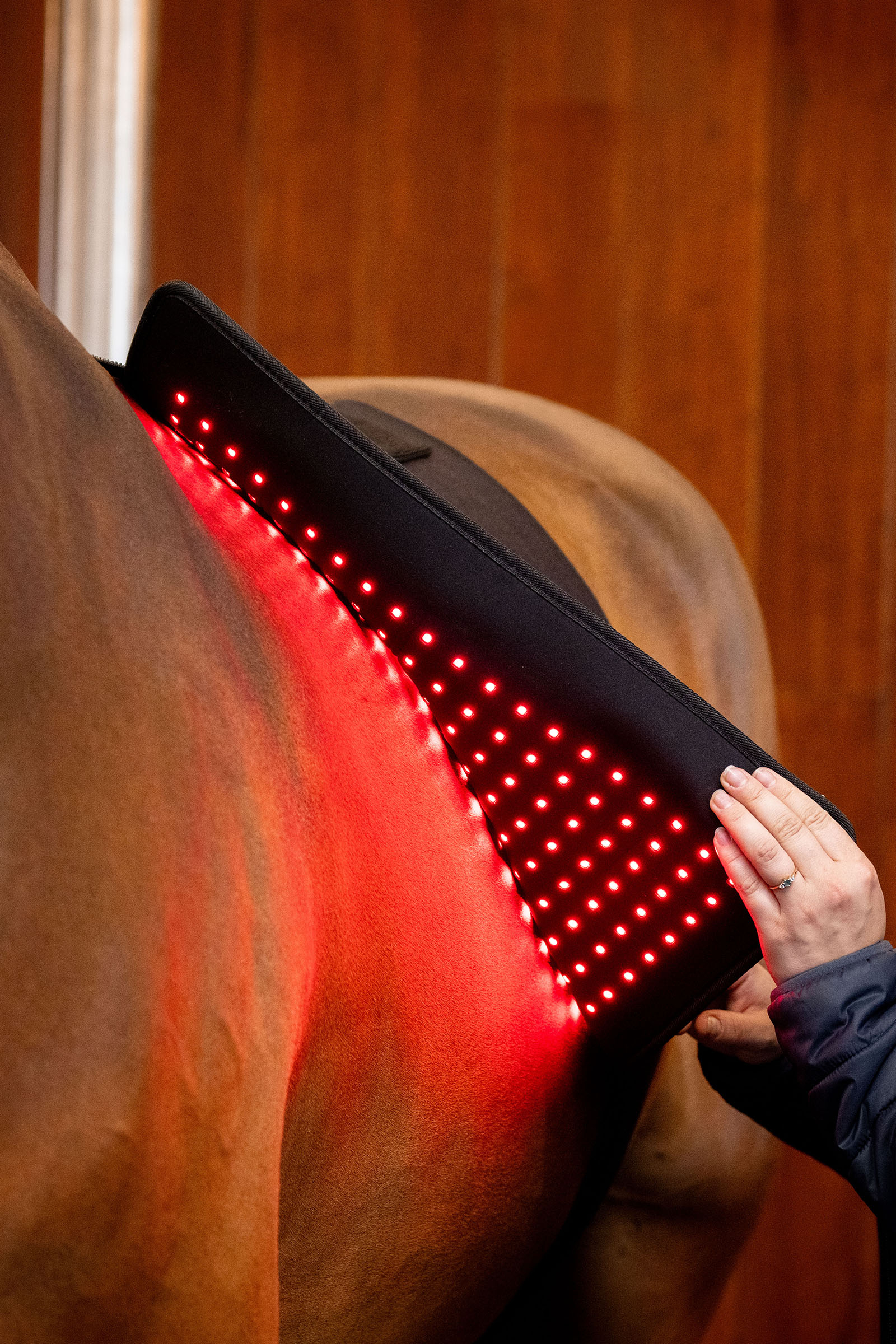 Horseware LED Red Light Therapy Pad
