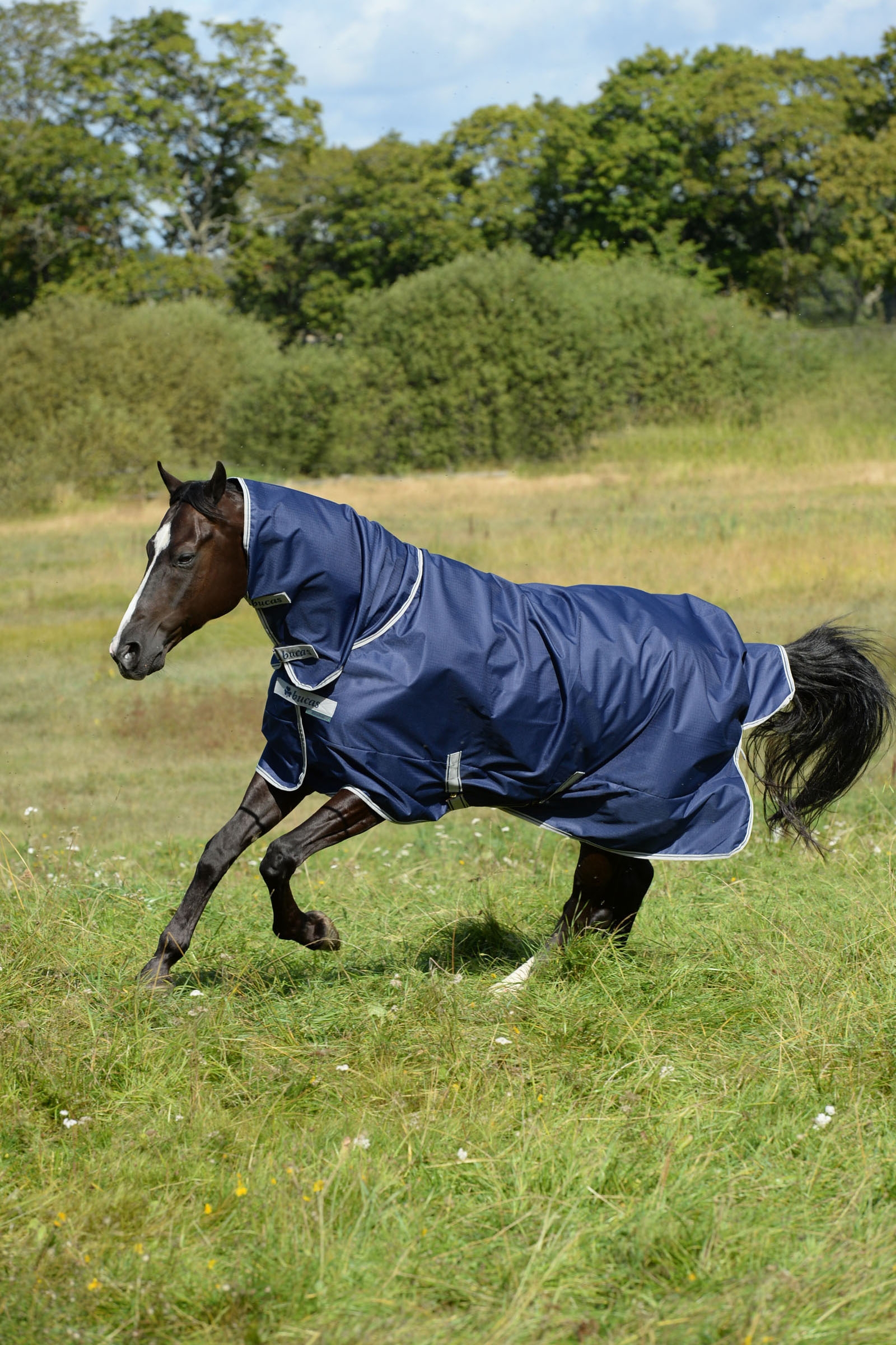 Bucas Freedom Pony Turnout Rug with fixed Full Neck (150g / 150g)