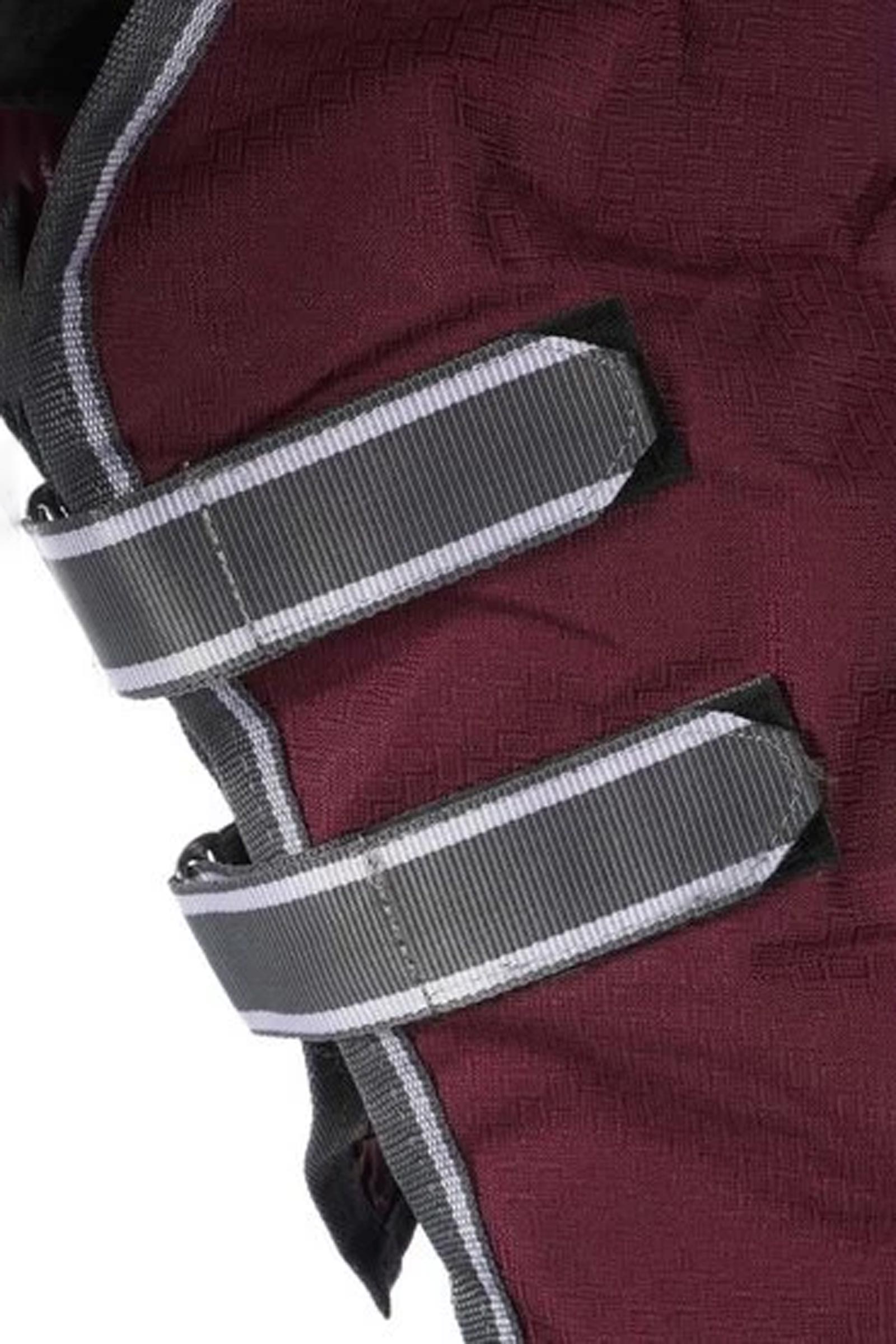 Weatherbeeta Comfitec Plus Dynamic II Turnout Rug With Fixed Neck, 100g