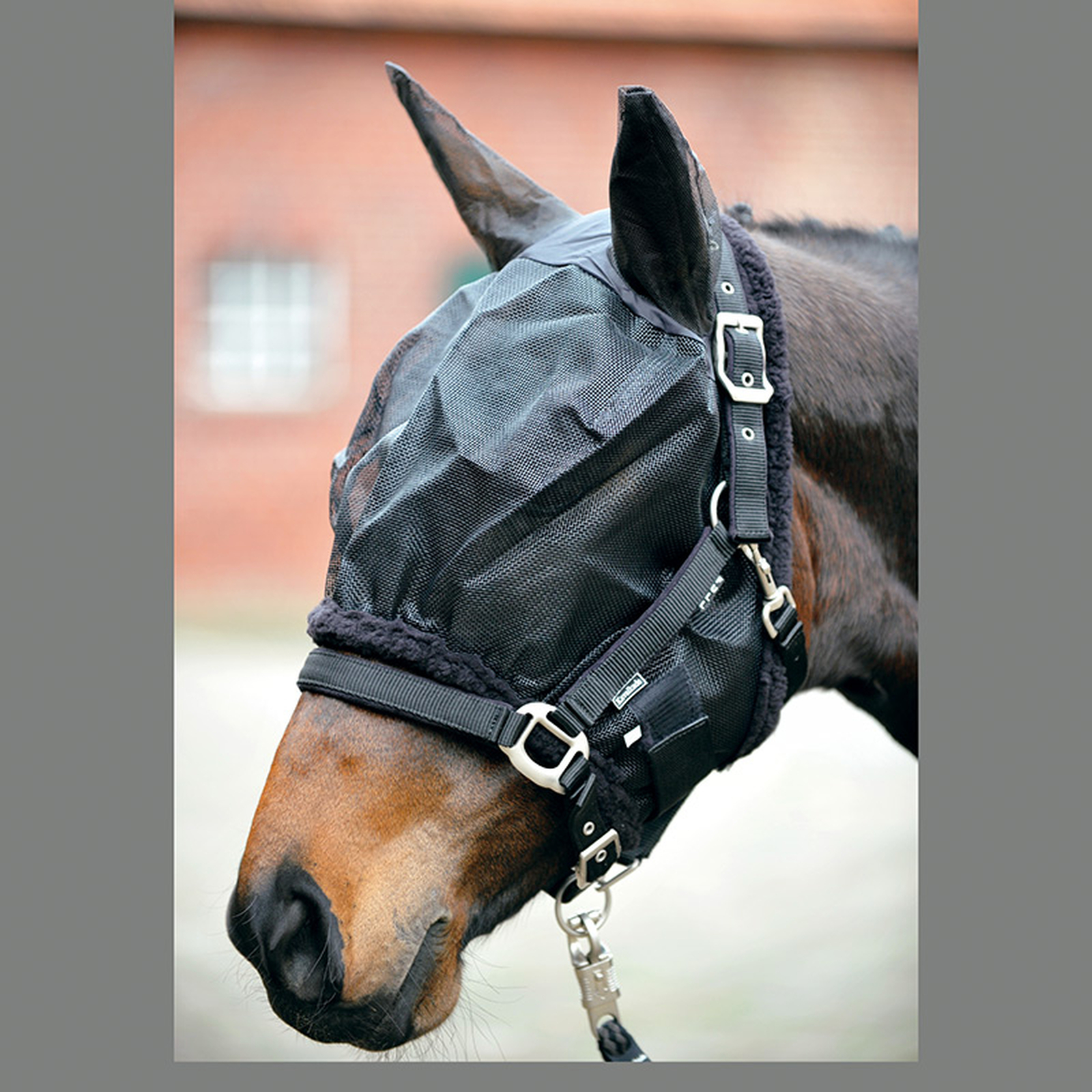 Kavalkade Fly mask with ears