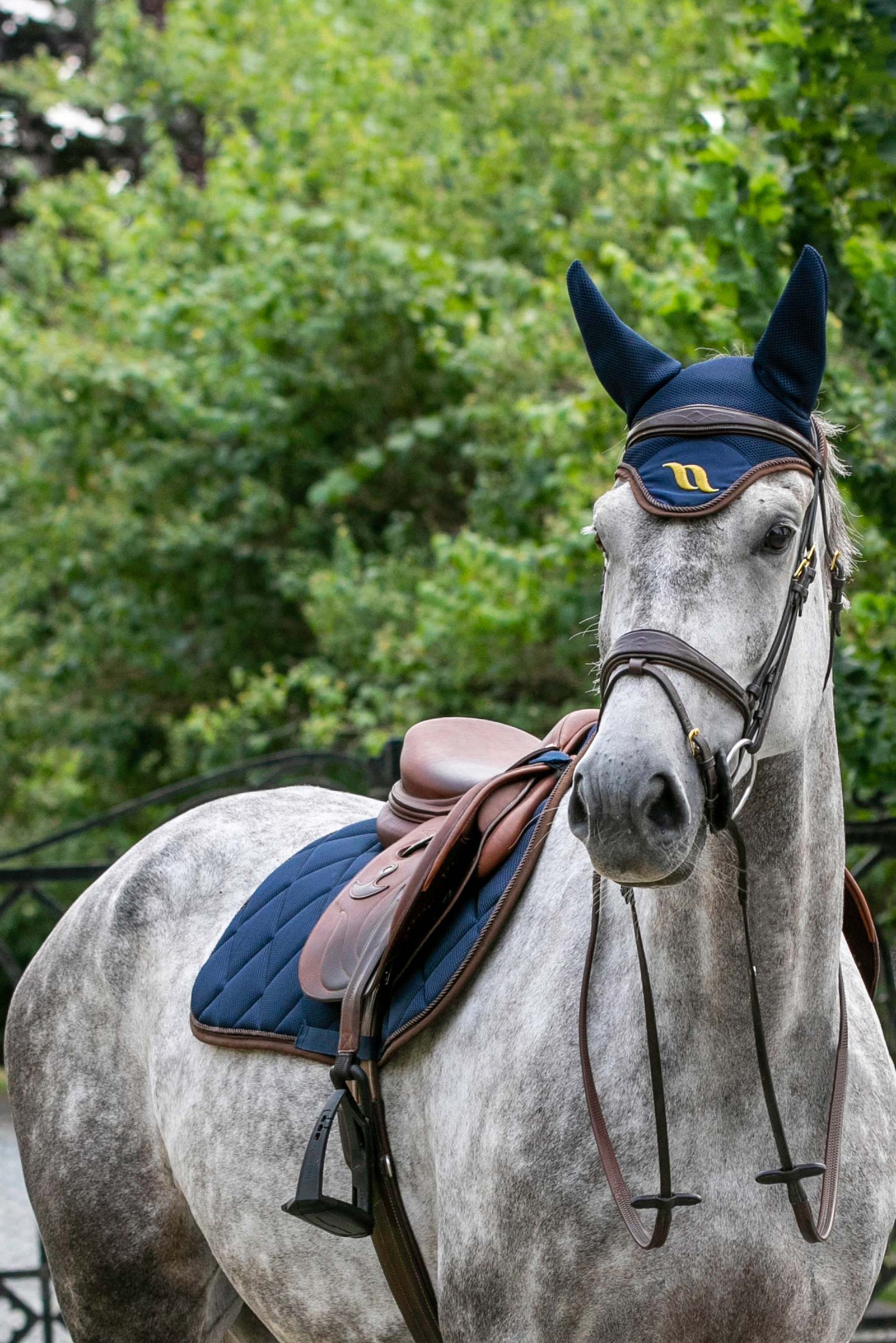 Back on Track Airflow Fly Hood