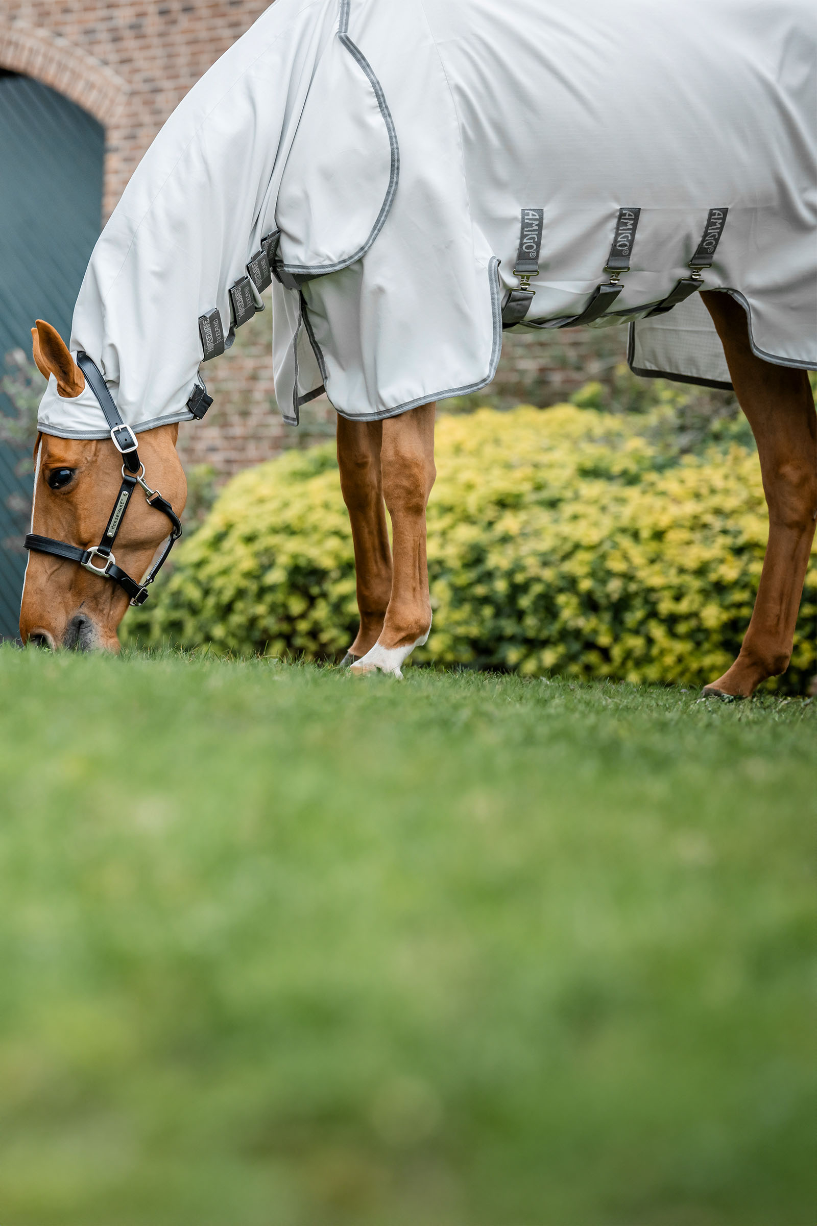 Horseware Amigo Ripstop Hoody