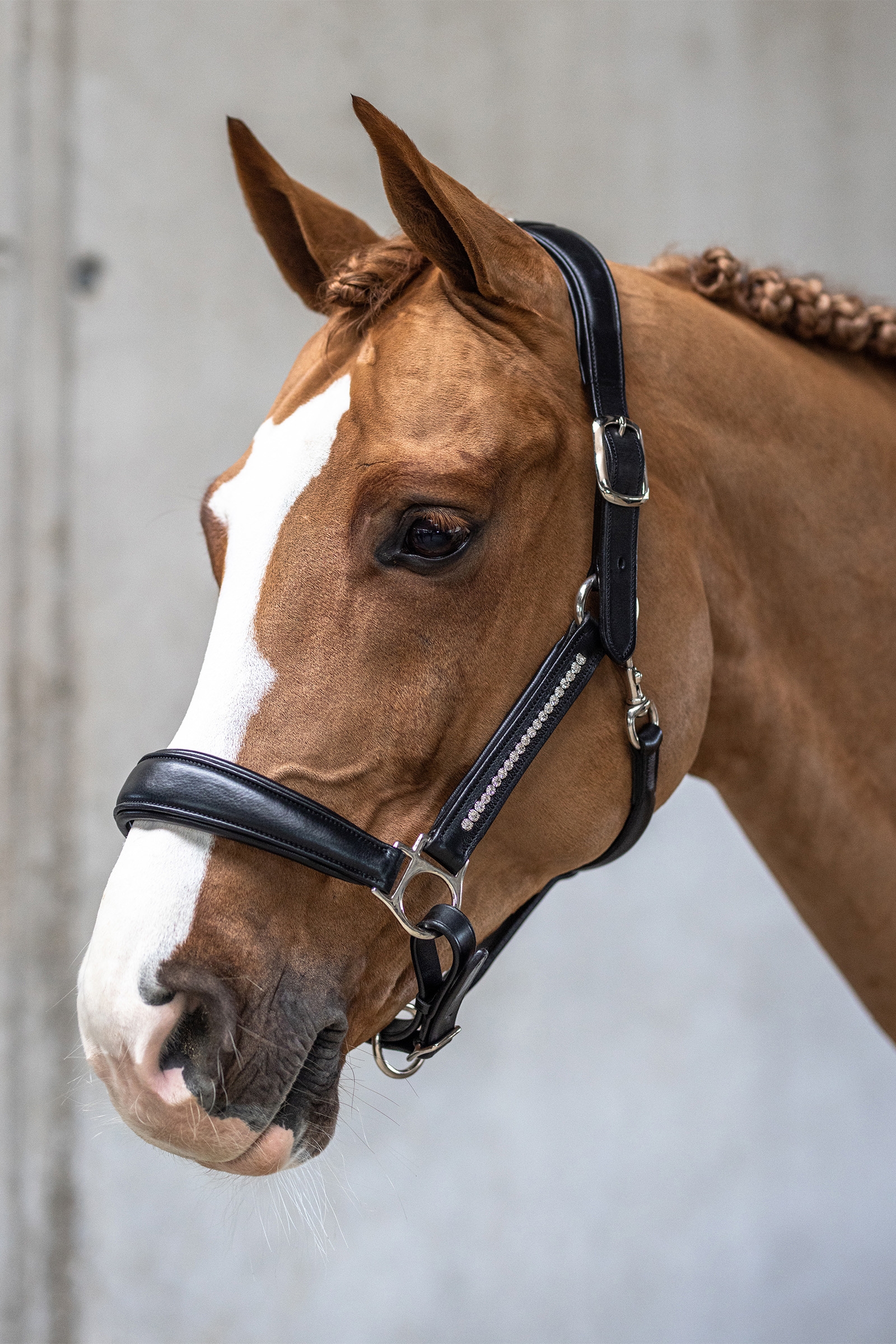 Kieffer Headcollar Ultrasoft® Luna