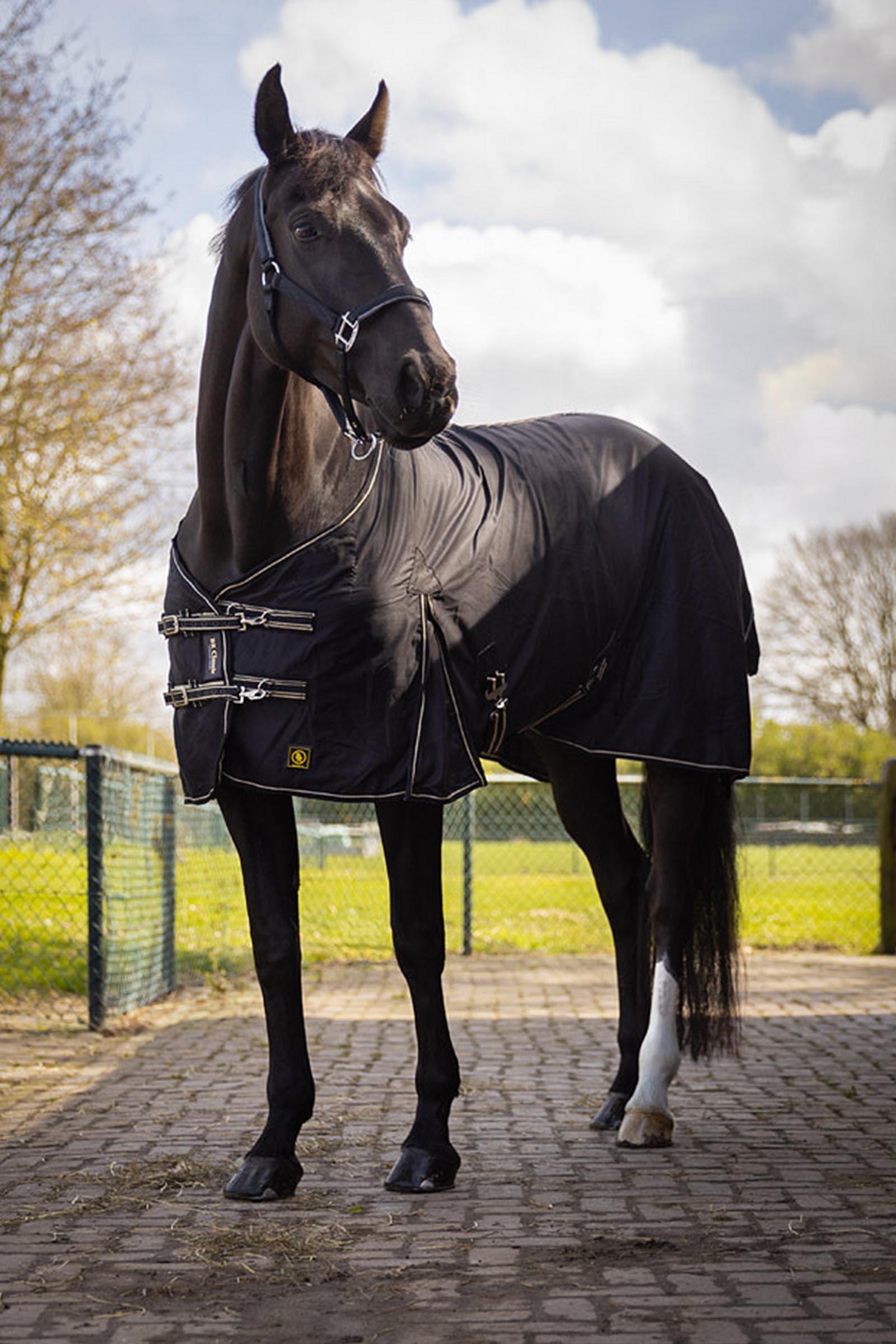 BR Classic Cotton Turnout Rug