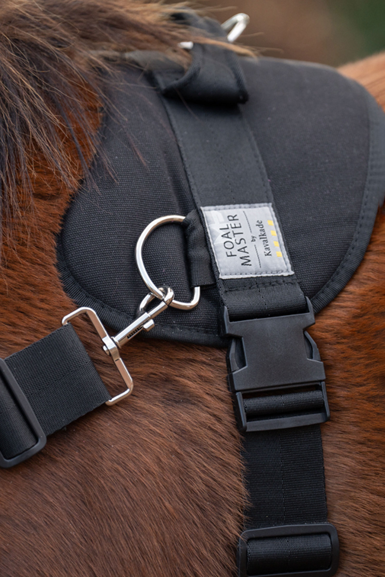 Kavalkade Foalmaster Foal Harness With Handle