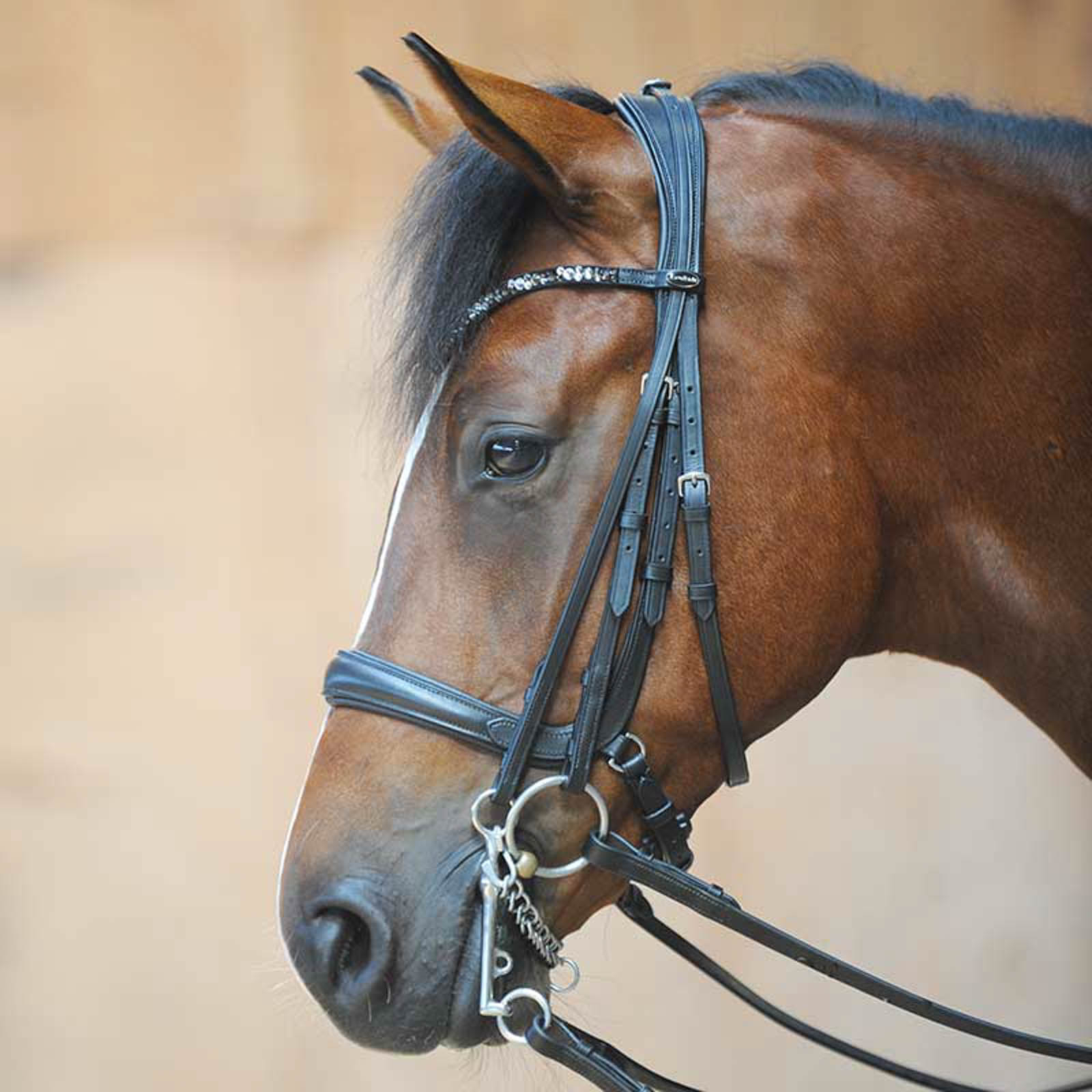 Kavalkade Ivonnne (Double) Bridle
