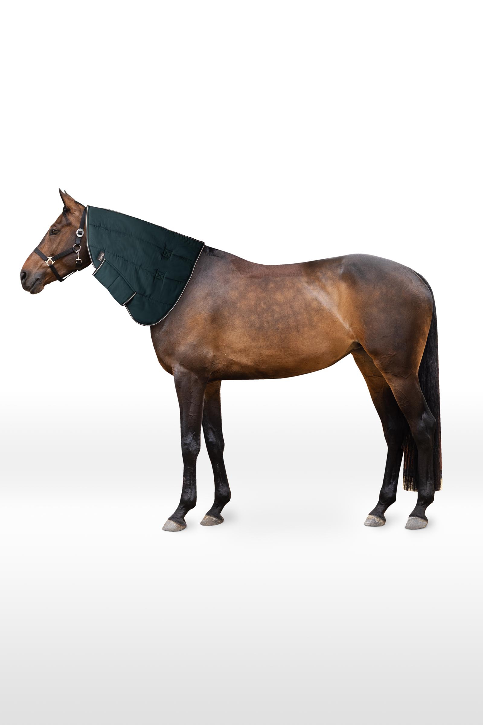 Horze Glasgow Pony Stable Rug Hood