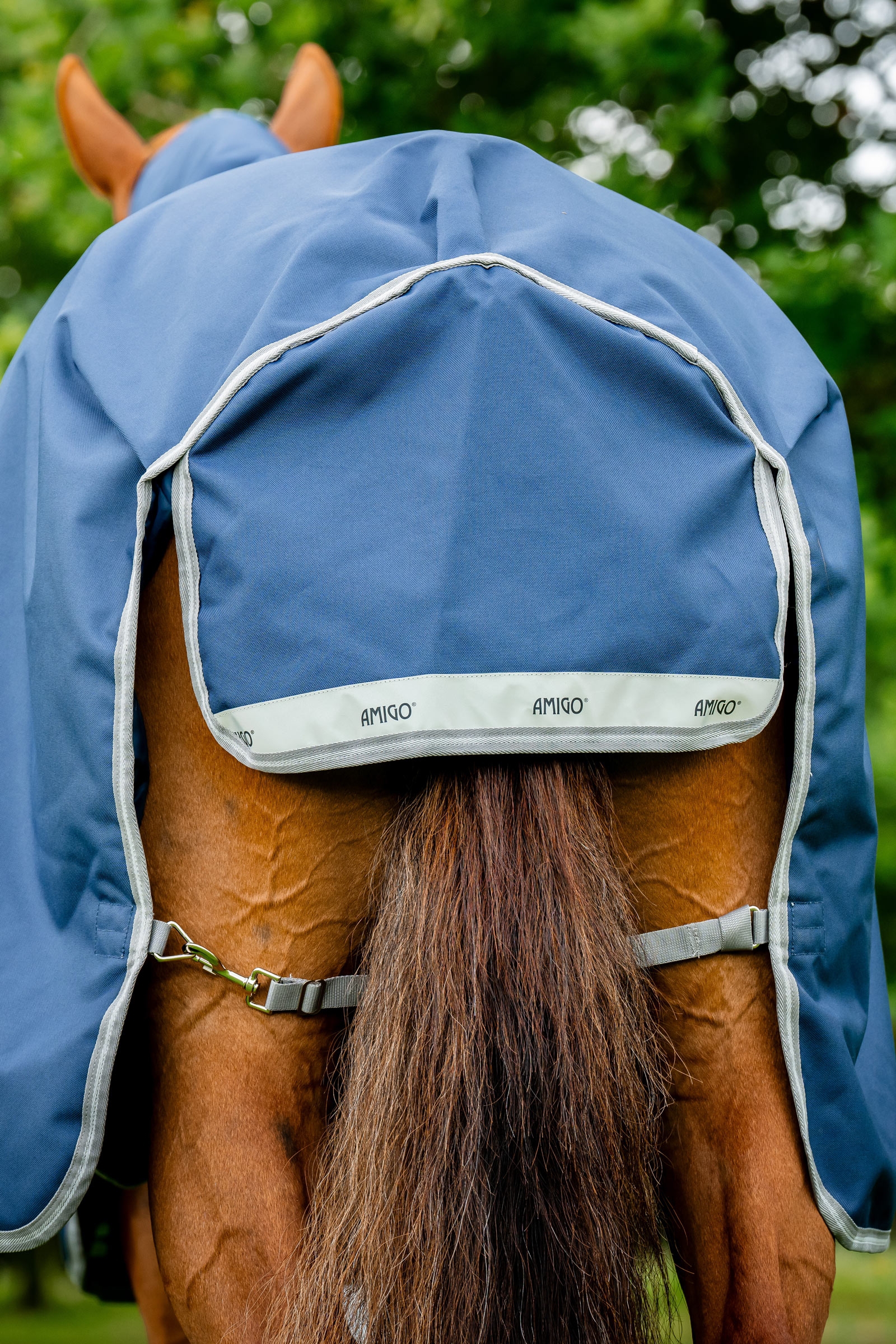 Horseware Amigo 1200D Plus Turnout Rug, 250 g