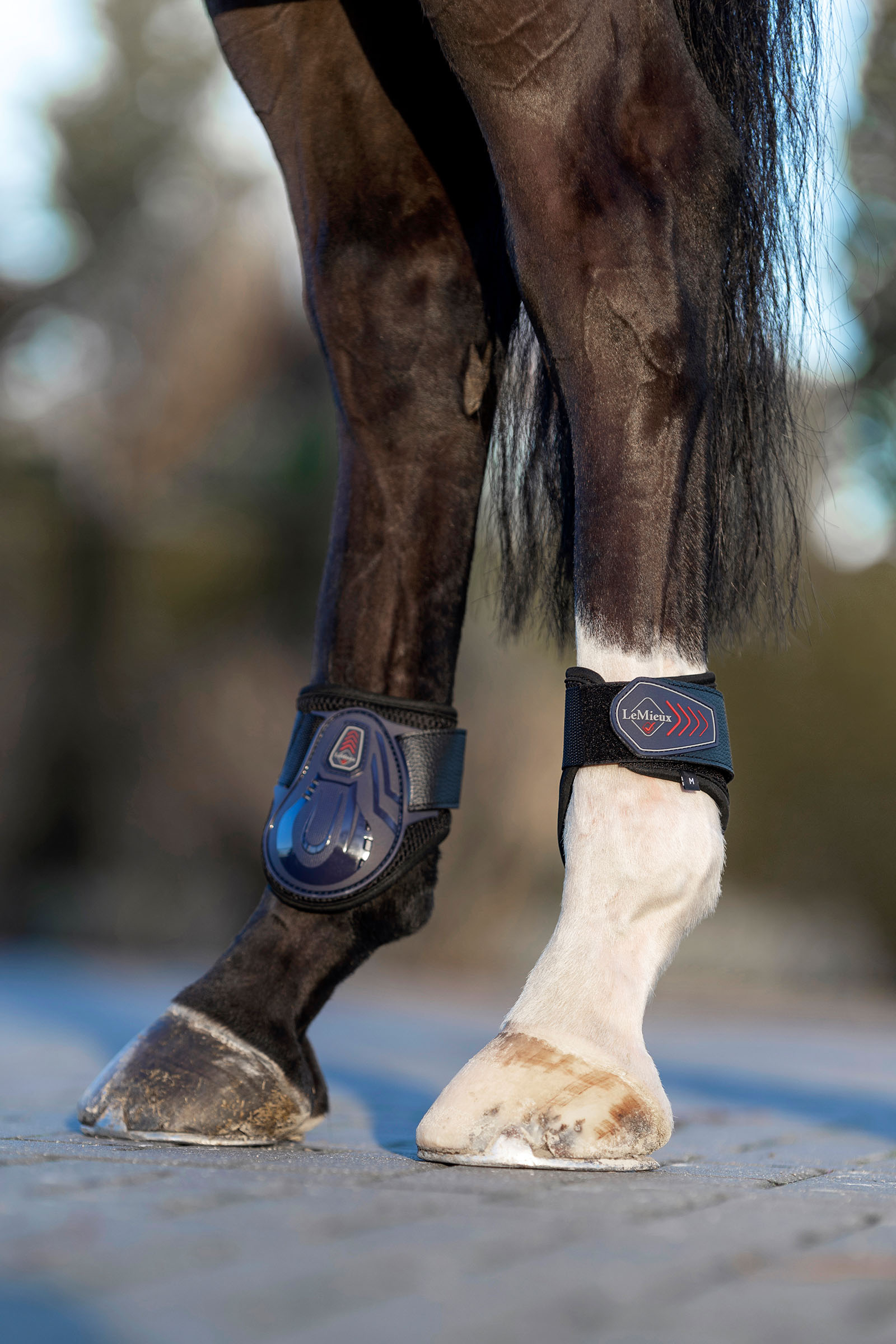 LeMieux Derby ProJump Fetlock Boot