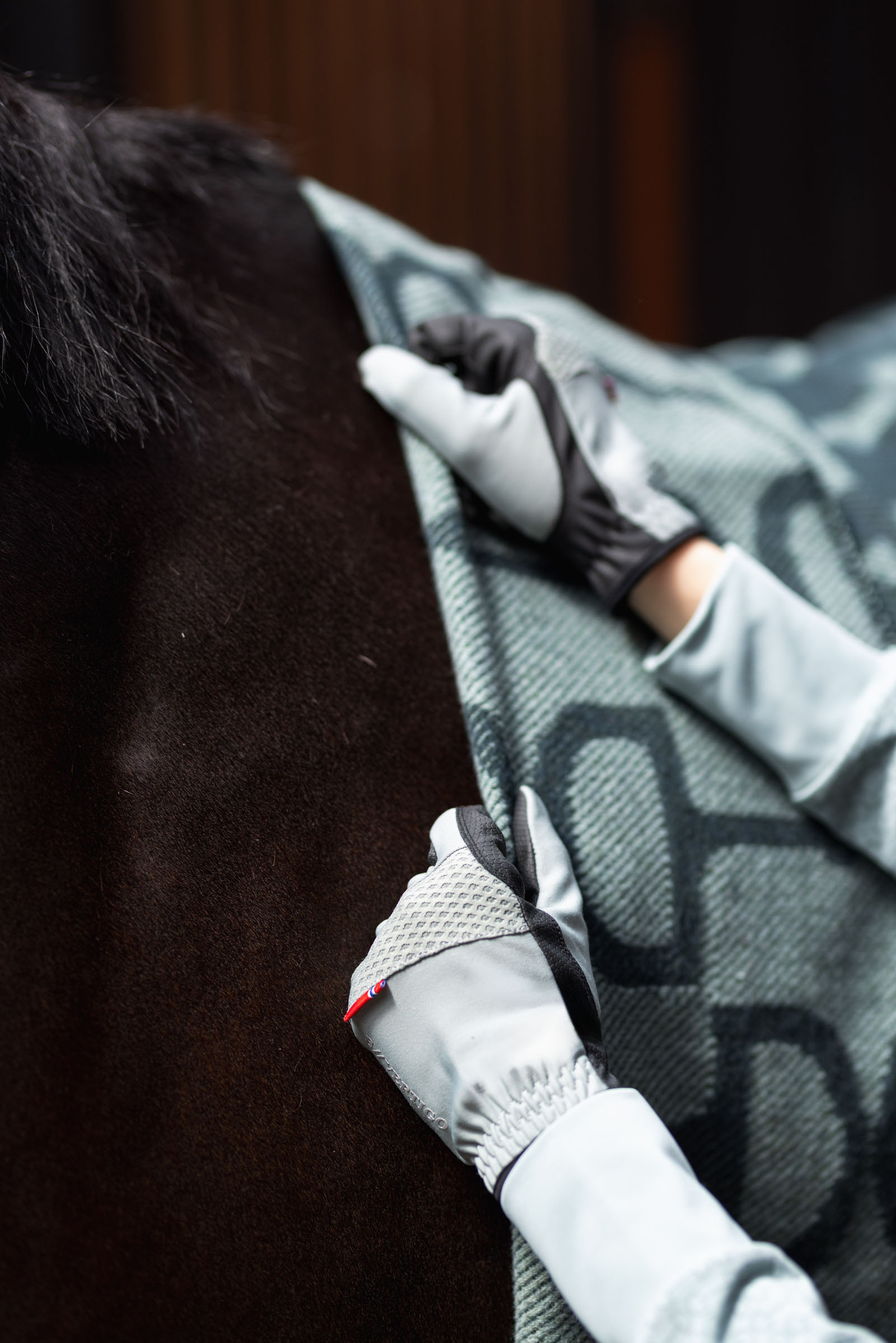 B Vertigo Renee All Season Riding Gloves