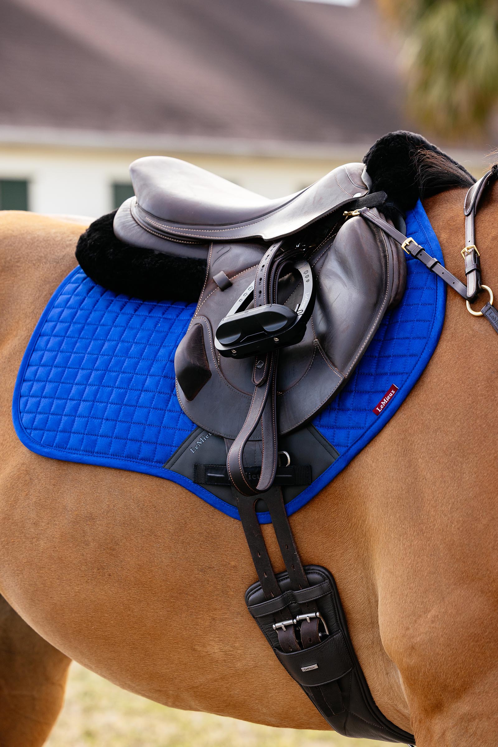 Lemieux Suede Close Contact Square Saddle Pad