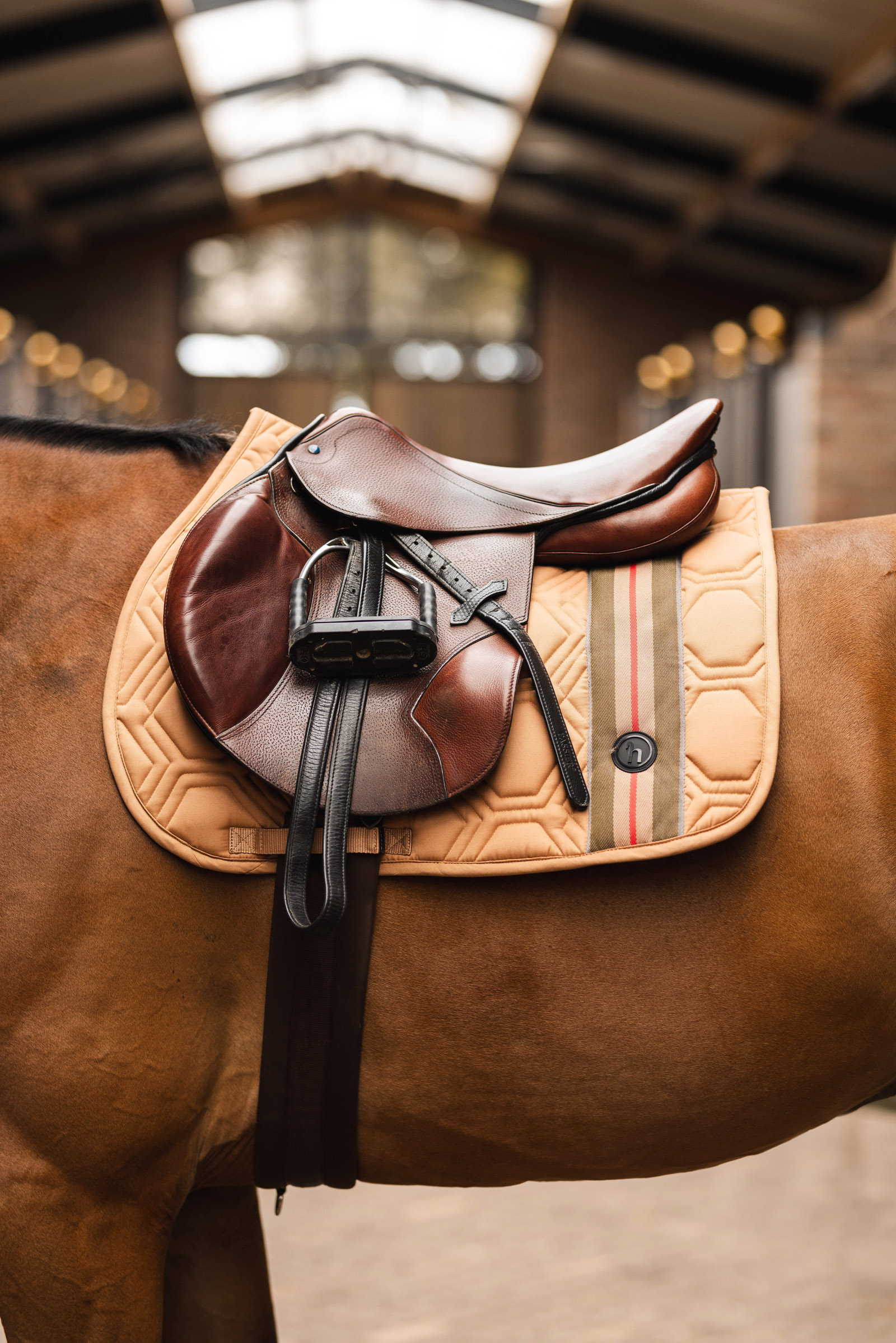 Horze High Life Jumping Pad