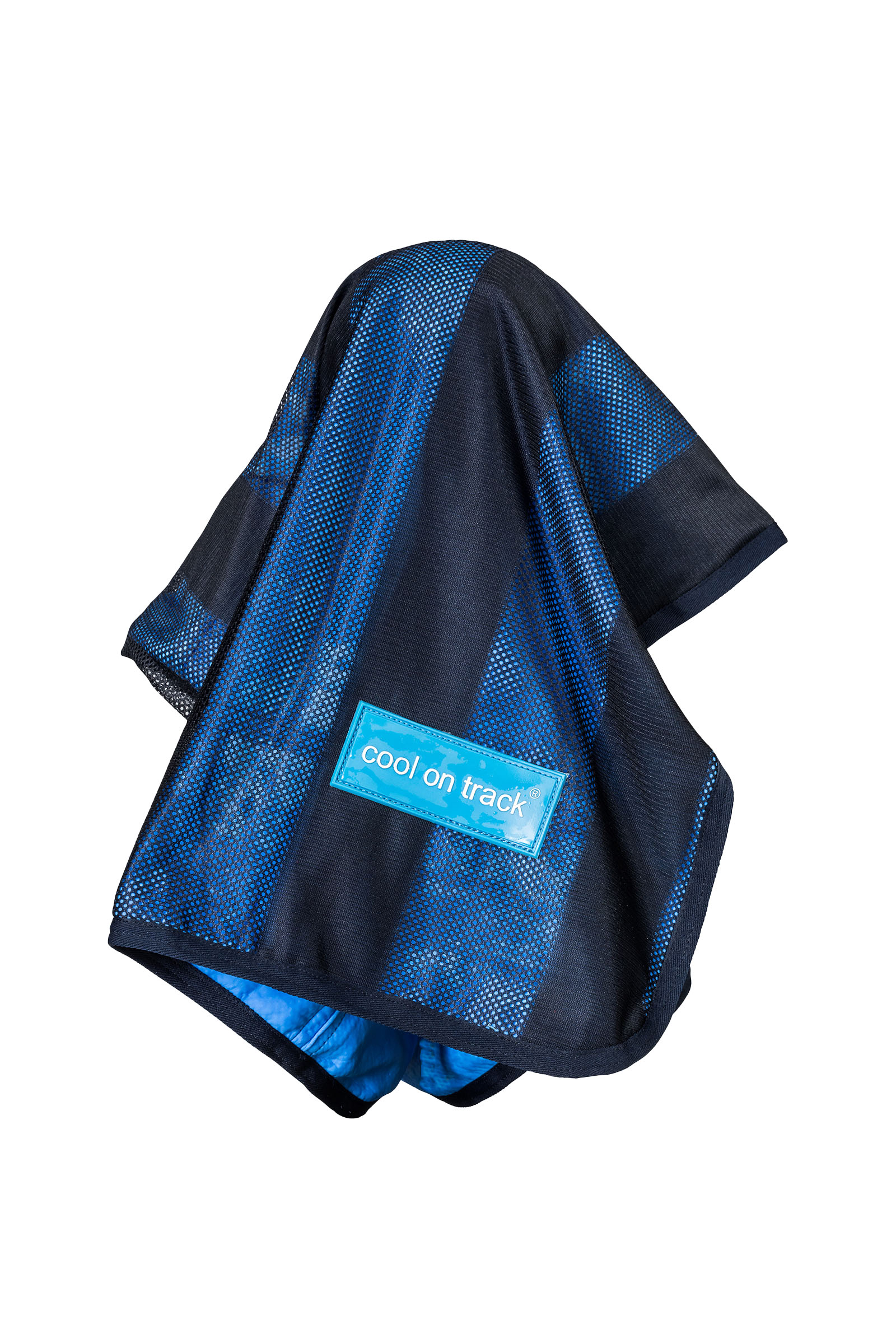 Back on Track Cooling Mat