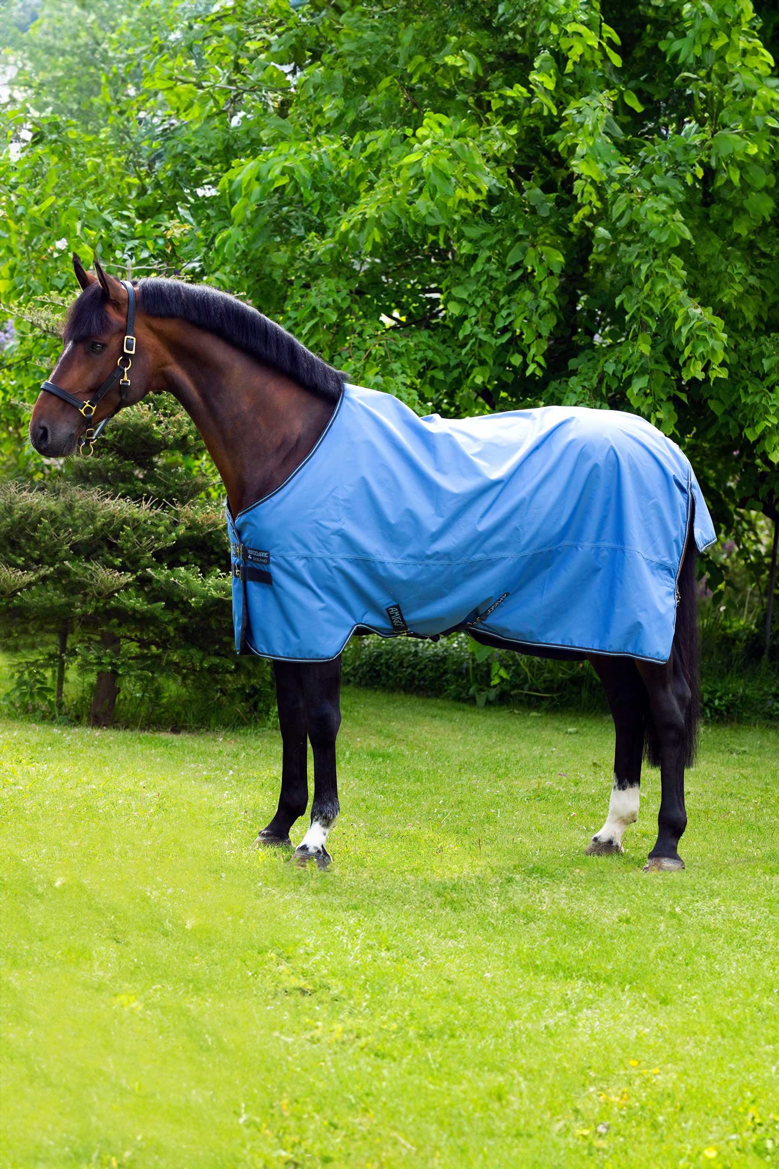 Horseware Amigo Hero 900 Turnout Rug, 50g