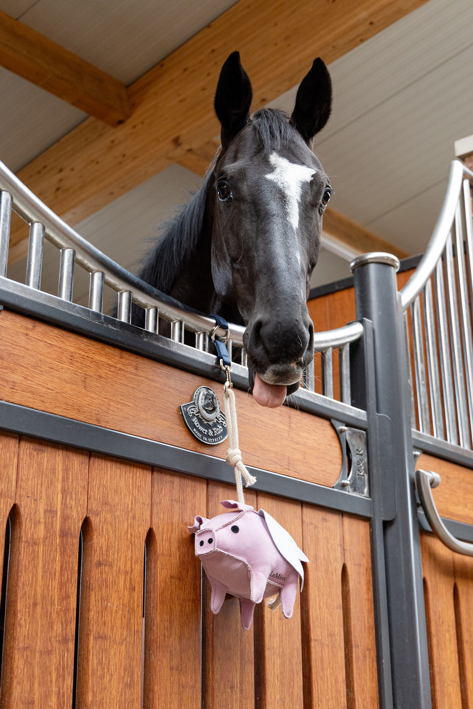 LeMieux Horse Toy Flying Pig