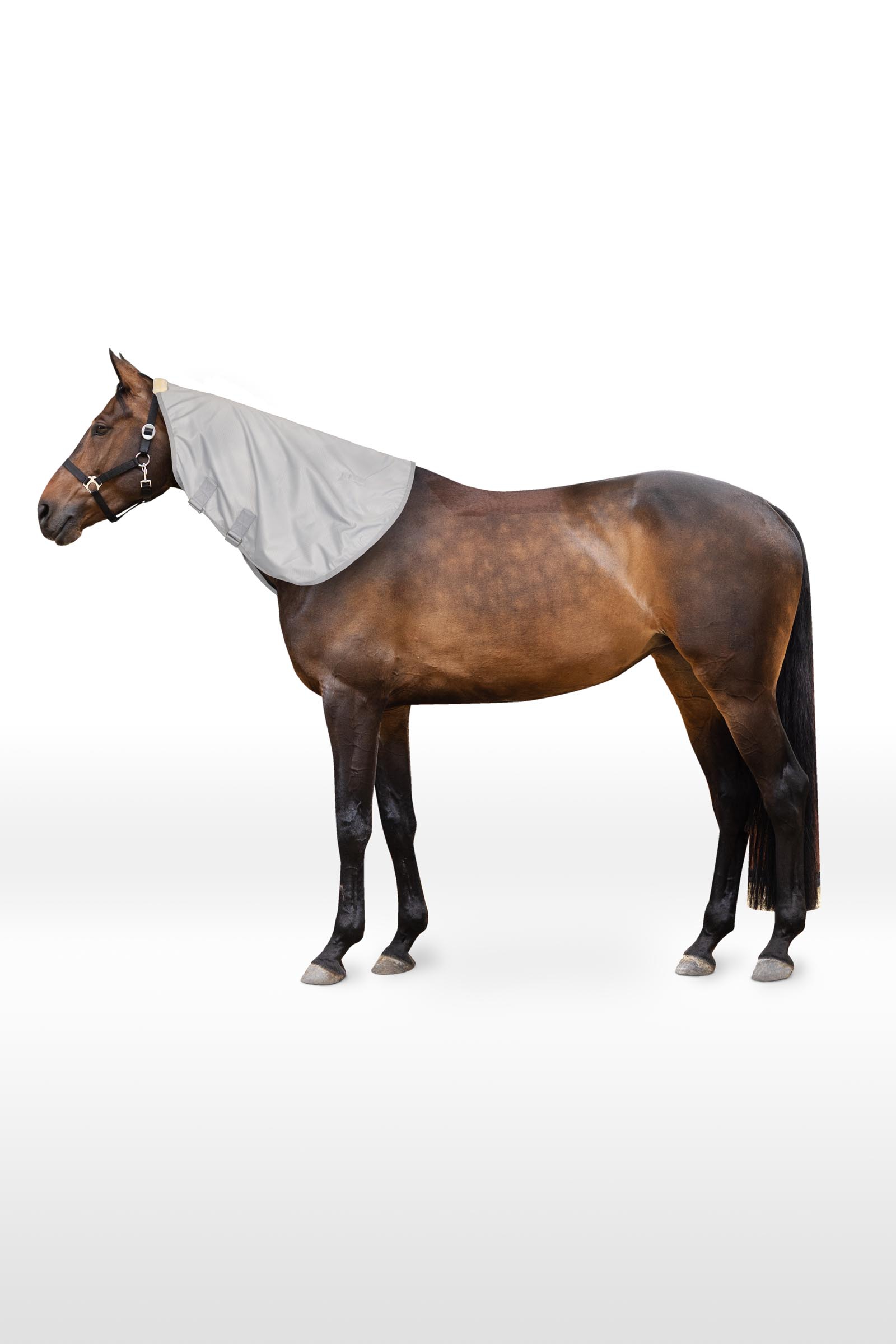 Horze Nevada 600D Turnout Neckpiece