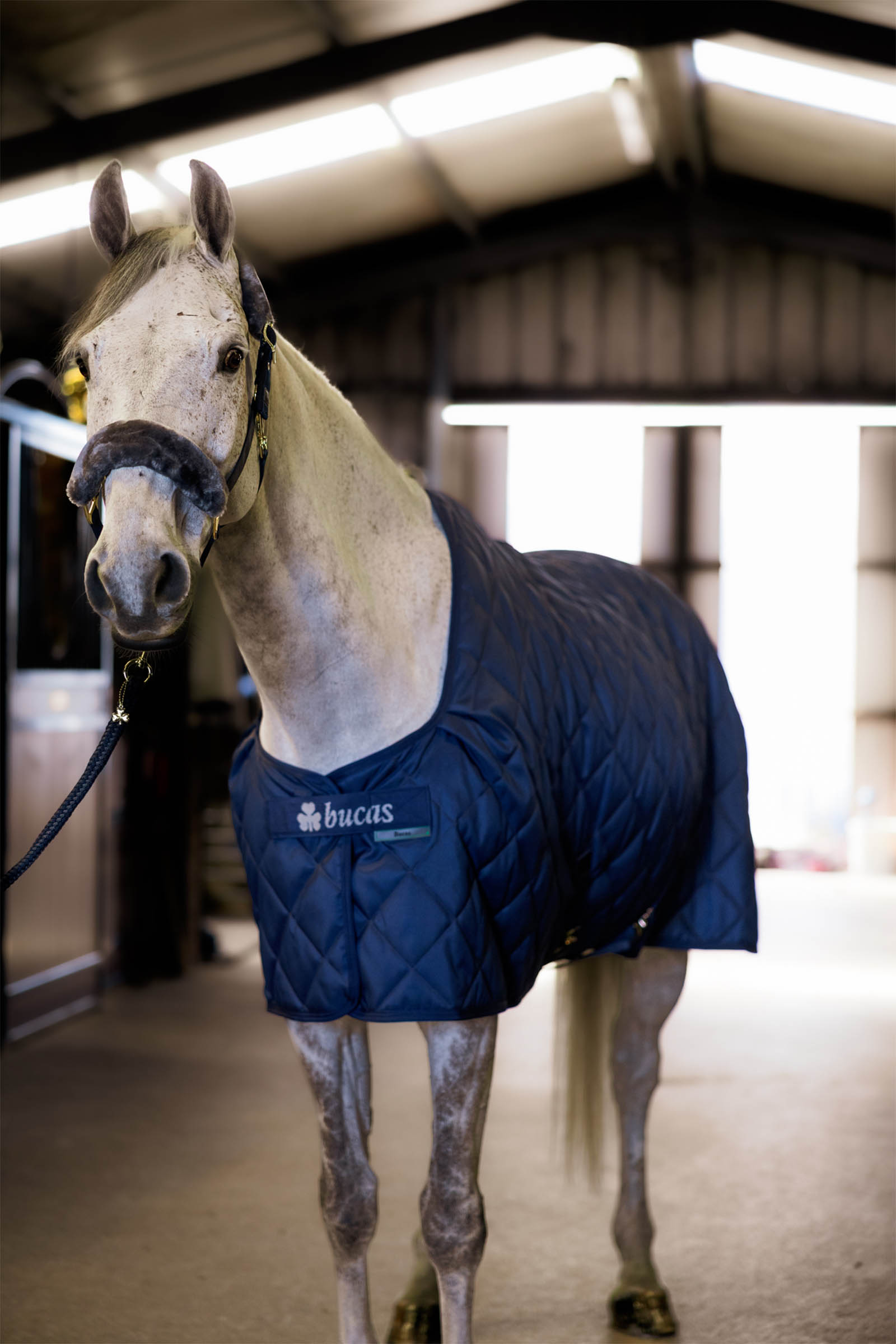 Bucas Cosy Stable Rug
