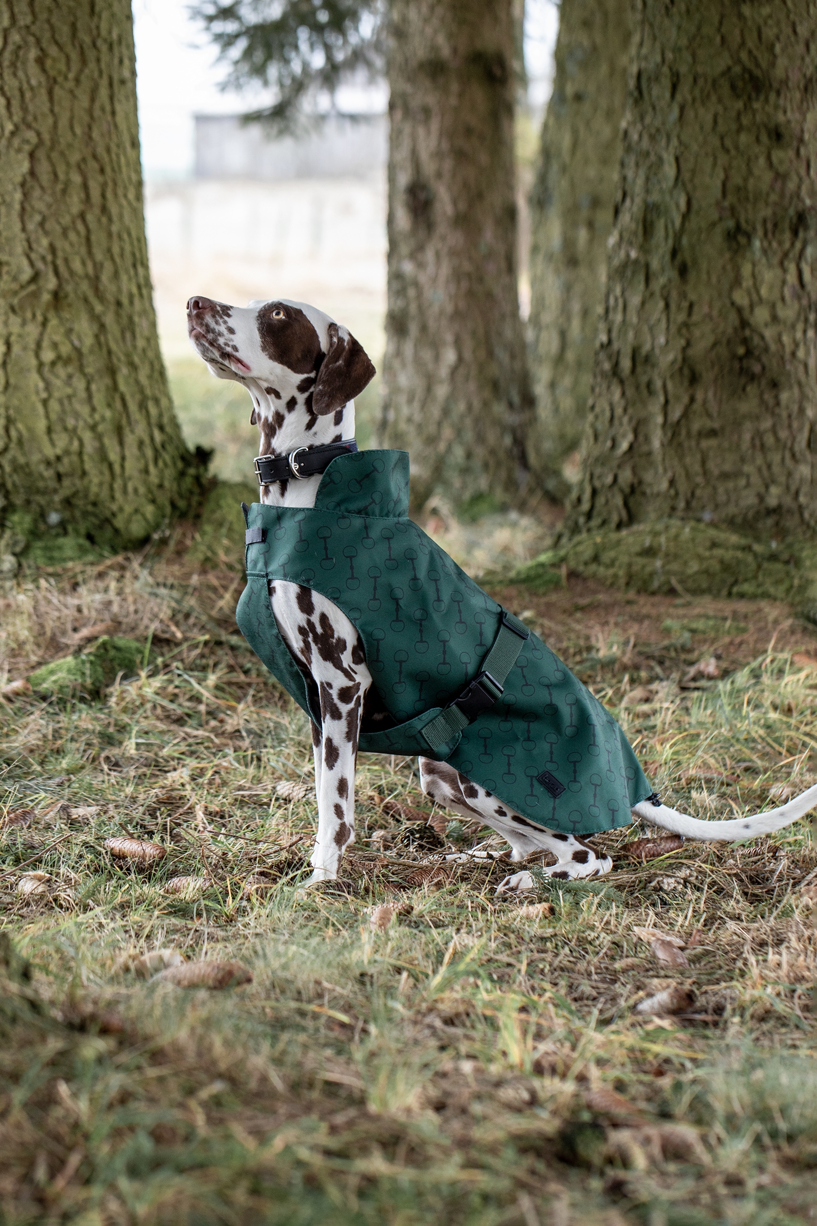 Horze Noir Dog Coat with Print