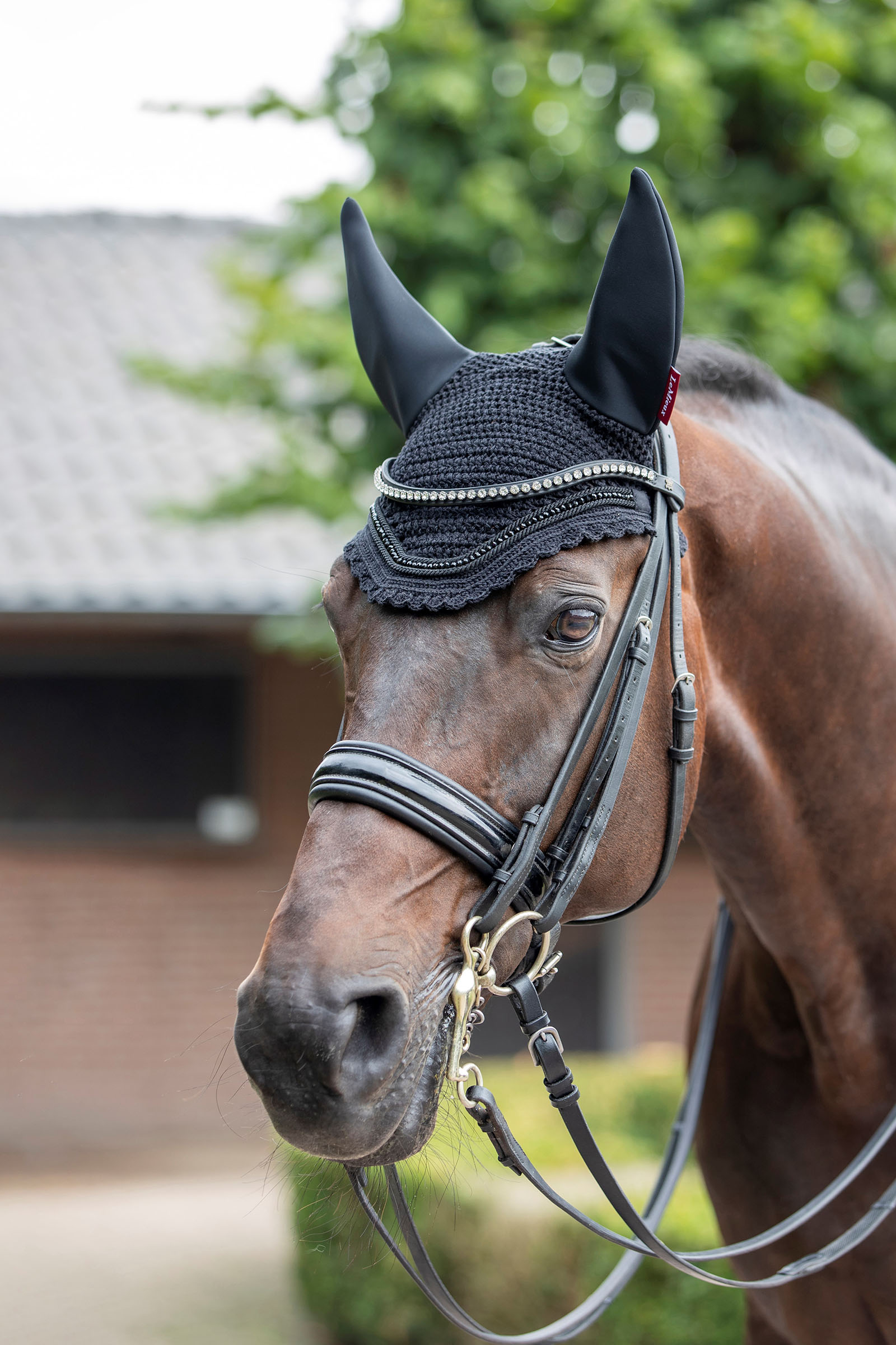 LeMieux Diamante Acoustic Fly Hood