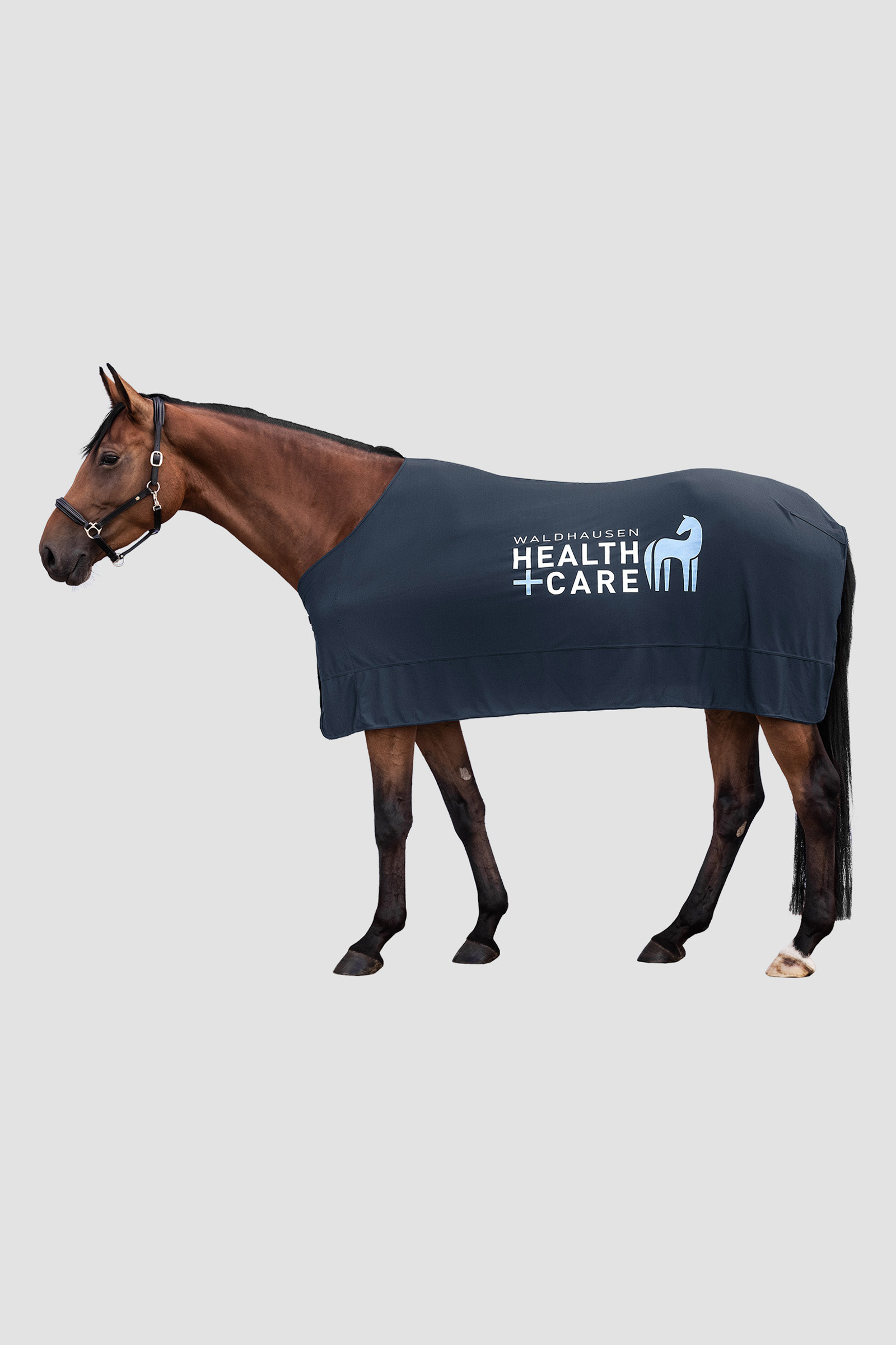 Waldhausen Health & Care Ice Layer Rug