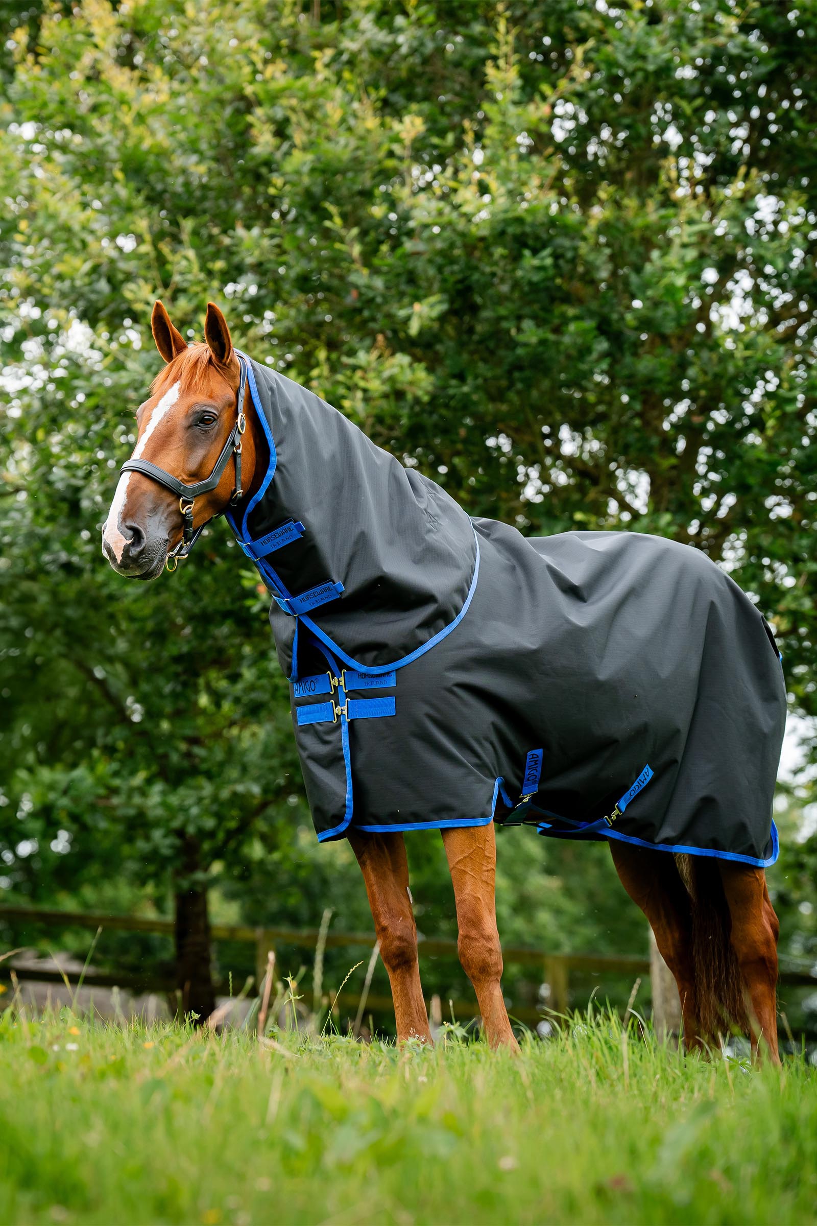 Horseware Amigo Ripstop 900D Plus Turnout Rug, 100 g