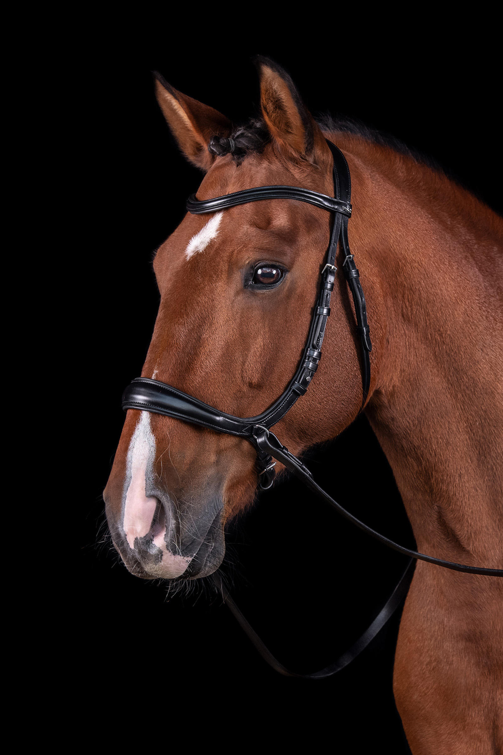 Schockemöhle Sports Equitus Theta 3in1 Bridle