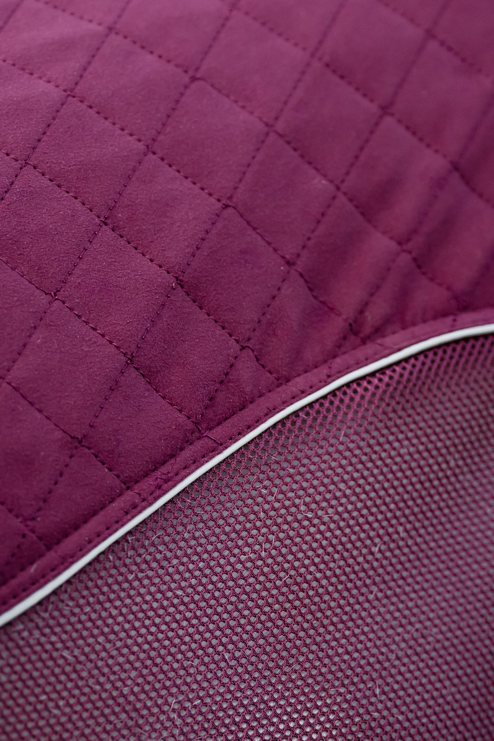 Horseware Signature Travel Cooler