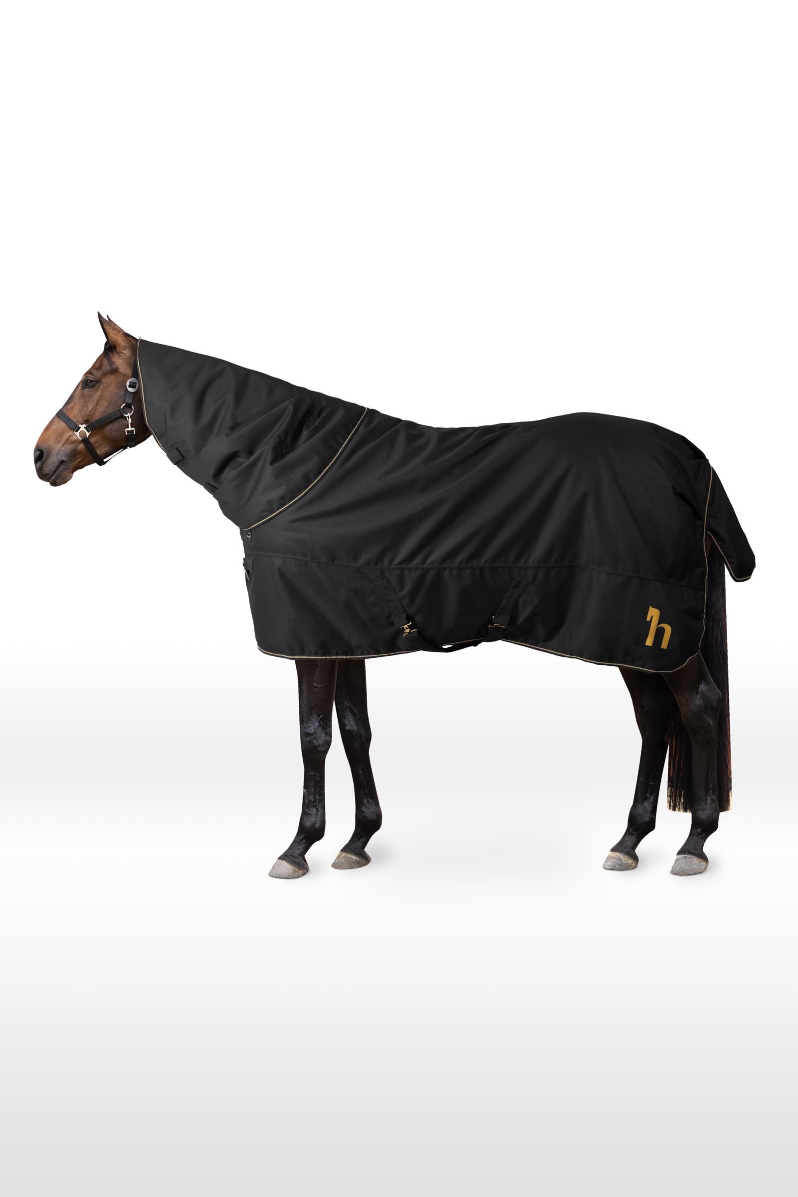 Horze 1200D Turnout Rug With Detachable Neck, 200 g