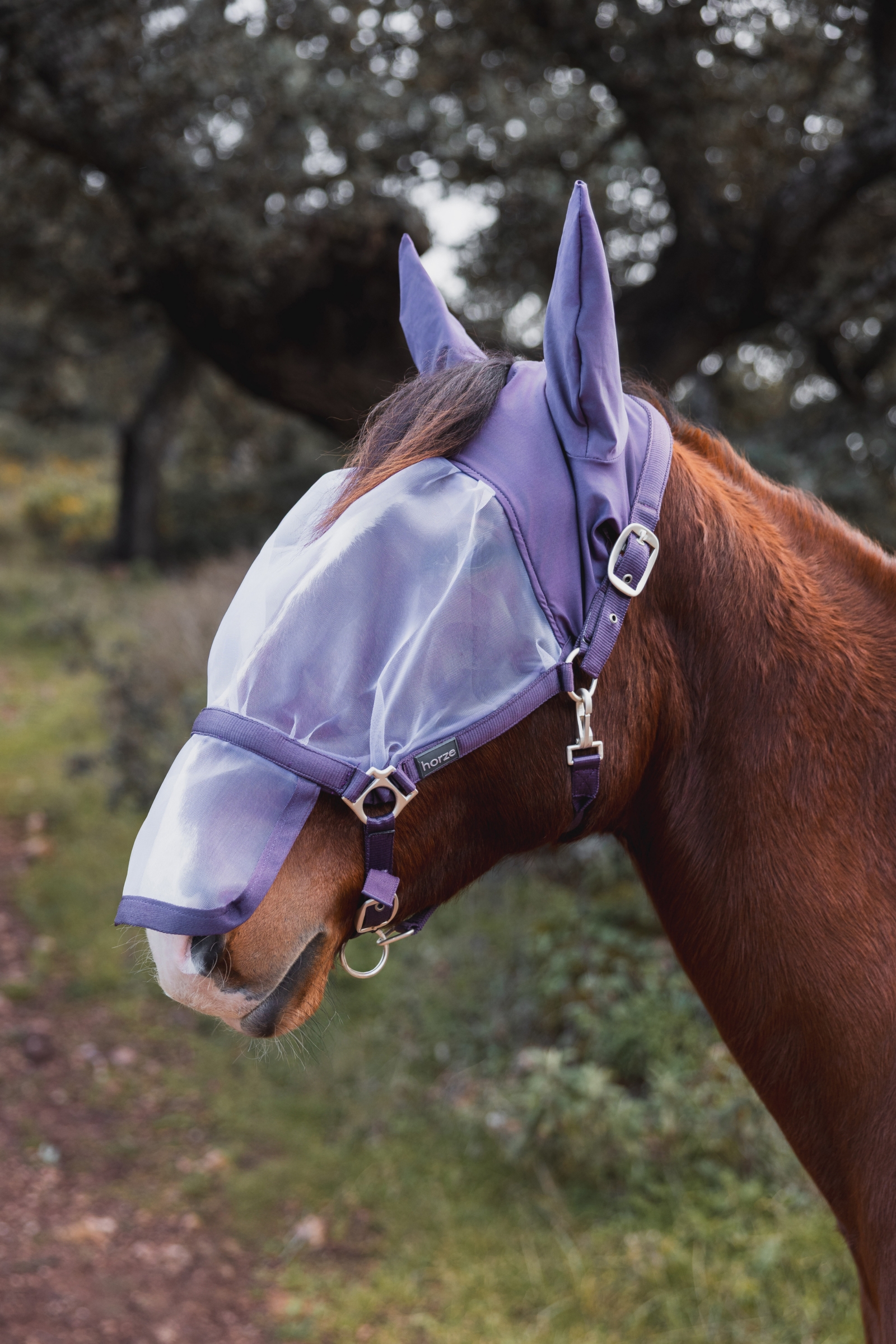 Horze Paso Fino Halter With Fly Mask
