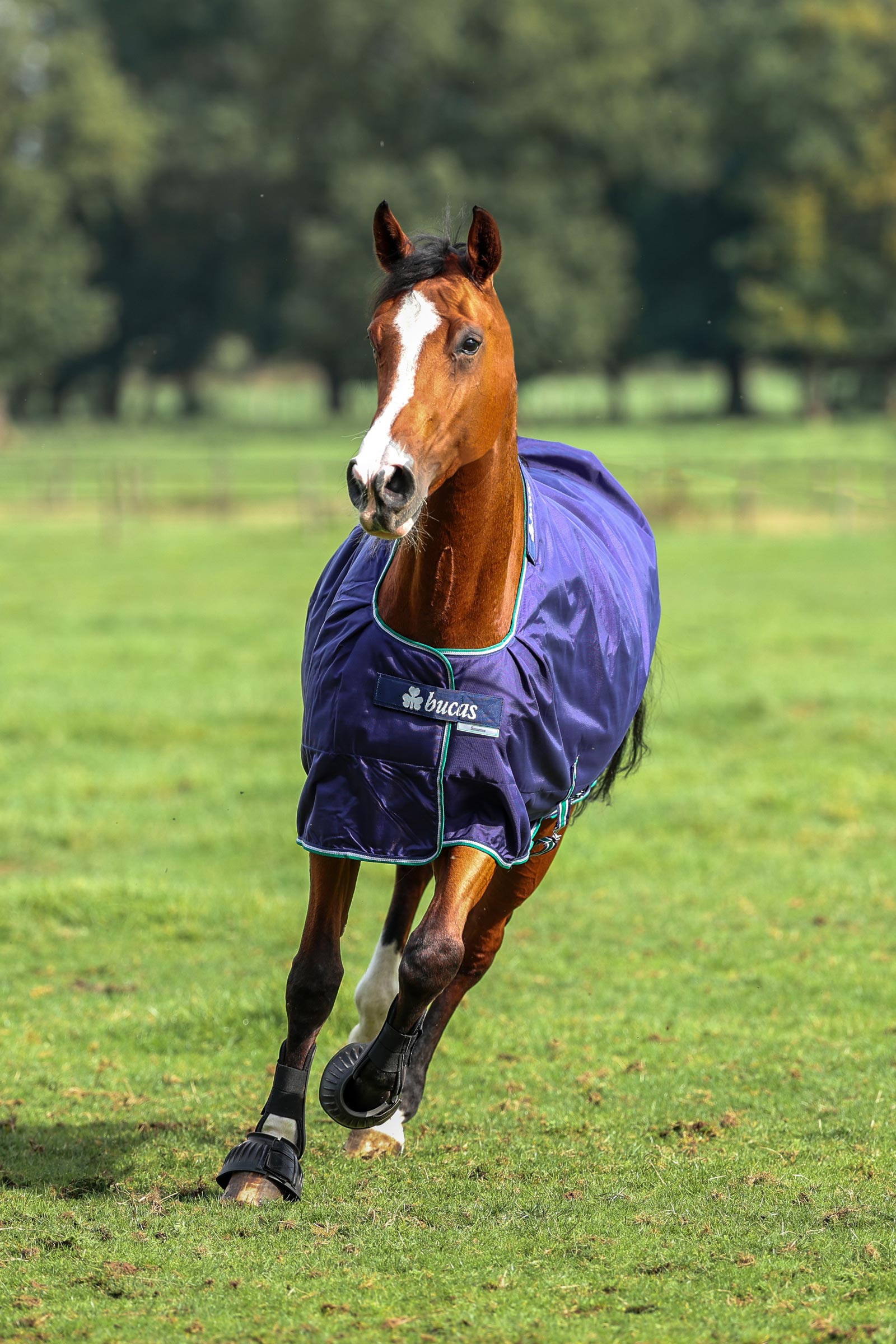 Bucas Smartex Rain Turnout Rug, 0g