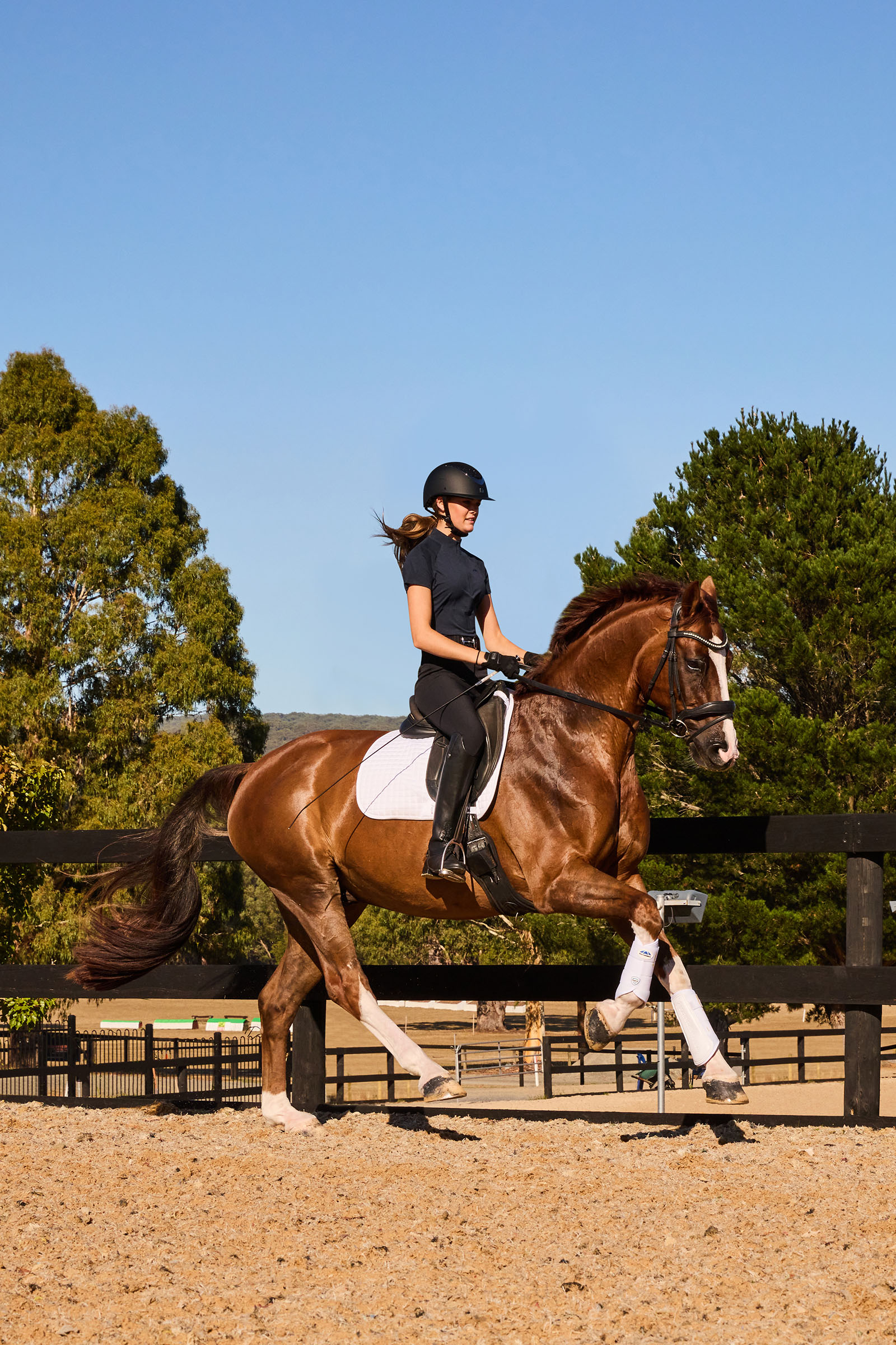 Weatherbeeta Tough-Tec Prime Brushing Boots